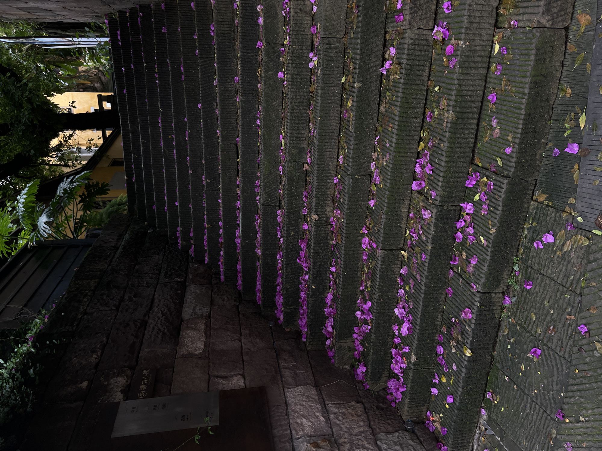 The image shows a close-up of a stone staircase in Yuzhong District, China. Purple bougainvillea flowers are scattered on the steps and clinging to the vertical stone blocks. The steps are constructed of dark stone with horizontal grooves. The environment is dimly lit. Vegetation is visible in the upper left. A sign with Chinese characters is visible in the lower left.