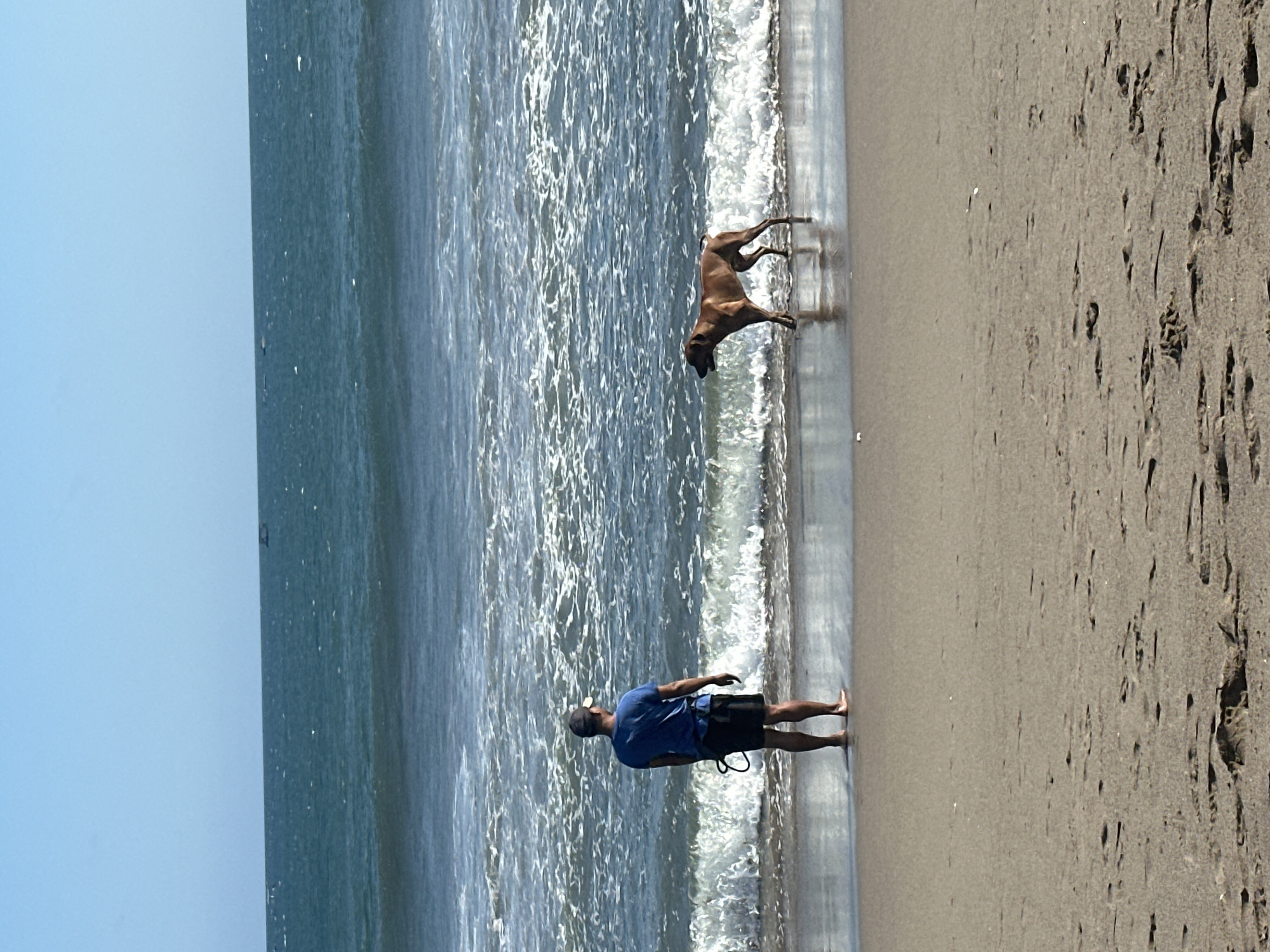 A man wearing a blue t-shirt and black shorts stands barefoot on a sandy beach, facing the ocean. He is wearing a dark baseball cap. A brown dog stands to his right, facing the ocean. The dog is near the water's edge, with waves gently washing over its paws. The ocean is a deep blue with white-capped waves. The sky is a clear, light blue. In the distance, small boats are visible on the horizon. The sand is damp and reflects the light from the water. The scene appears to be a tranquil moment on the beach. The location is presumed to be in North Kuta, Indonesia.