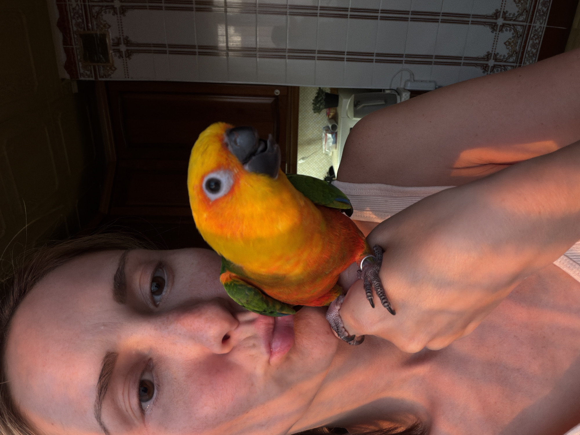 A woman is holding a Sun Conure parrot. The parrot is perched on her hand and its face is near her face. The woman has light skin and brown hair and eyes. The parrot is yellow and orange with some green on its wings. The background shows a kitchen with tiled walls and a dark brown cabinet. There is no indication of Khimki, Russia.