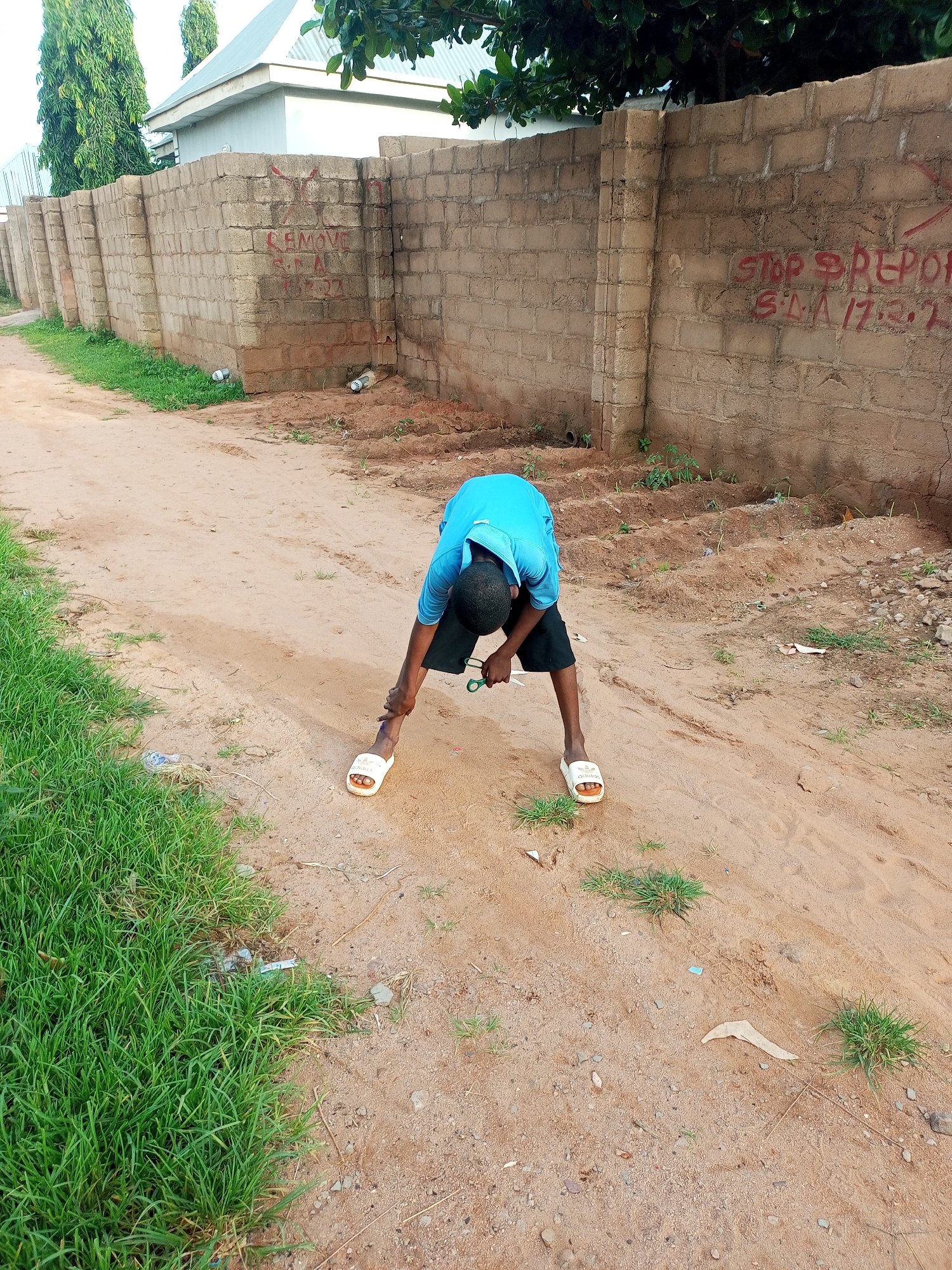 A young person wearing a bright blue t-shirt and black shorts bends down in the middle of a dirt road, holding a pair of scissors. White sandals are on their feet. The road is lined with green grass on the left and a brick wall on the right. The wall has red graffiti on it, with some letters appearing to say "REMOVE" and "STOP REPOR". The ground is a mix of sand and dirt, with scattered small rocks and patches of grass. In the background, a building with a light-colored roof and walls is visible behind the brick wall, along with tall trees. The overall setting appears to be an outdoor area in what could be a residential or undeveloped part of Tempure, Nigeria.