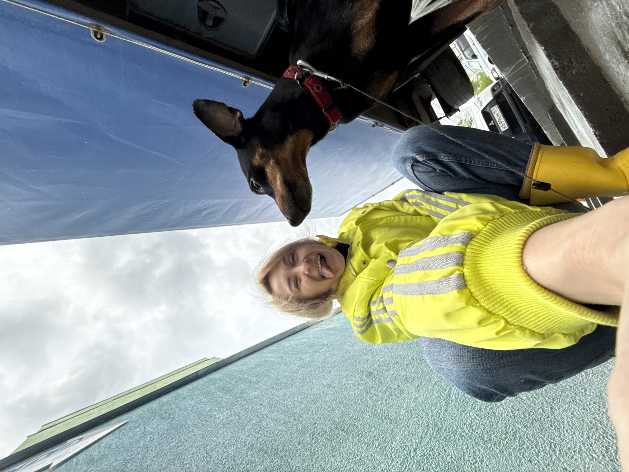 A low-angle shot shows a woman in a bright yellow jacket and jeans sticking out her tongue, positioned beneath a black-and-brown Doberman Pinscher wearing a red collar. The dog is tethered by a leash. Above the dog is part of a vehicle's undercarriage and the license plate "K695E669." The background includes a cloudy sky and a section of a blue building with a green stepped roof. Based on the license plate, the location is likely within Russia. The city of Chaikovsky, Russia is a possibility.