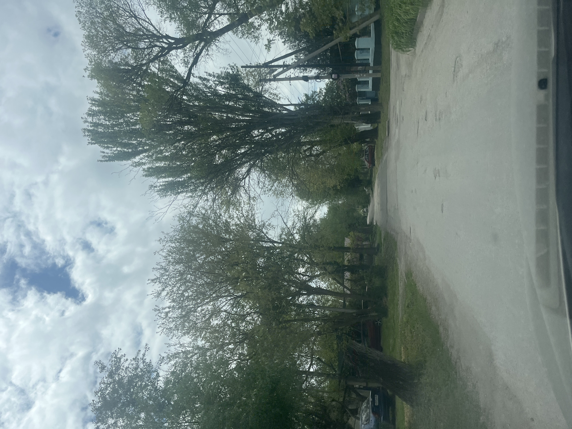 The image shows a street scene in Unknown, Unknown. A road stretches through the frame, flanked by trees and grass. Houses are visible behind the trees. Power lines run overhead. The sky is overcast with clouds. A vehicle is partially visible on the right side of the frame.