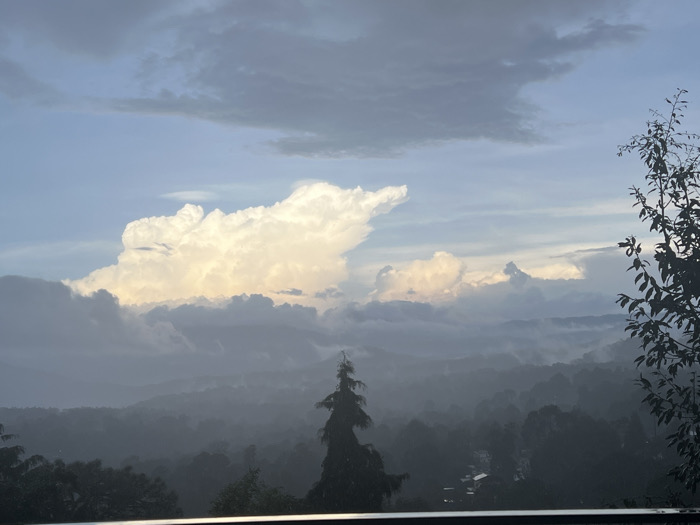 The image presents an elevated, panoramic view of a misty, forested valley under a cloudy sky, observed from the city of Unknown, Unknown. The upper portion of the frame features a large, brightly illuminated cumulonimbus cloud formation, predominantly white with pale yellow undersides, contrasting against darker grey clouds and a light blue sky. Below the main cloud mass, successive layers of hills or mountains recede into heavy atmospheric haze or mist, appearing in muted grey and blue tones. The lower half of the image is dominated by a densely forested valley, with tree canopies appearing dark green to black due to the prevailing light and mist. A distinct, dark, conical tree stands prominently in the mid-ground, slightly clearer than its surroundings. Faint outlines of obscured structures are barely visible within the misty valley. A dark, leafy tree branch is partially visible on the far right of the frame, and a thin, dark horizontal railing occupies the very bottom edge, indicating the observation point is from an elevated structure. No people, overt actions, or interactions are present. The scene depicts a humid, post-precipitation environment with dramatic cloud formations.