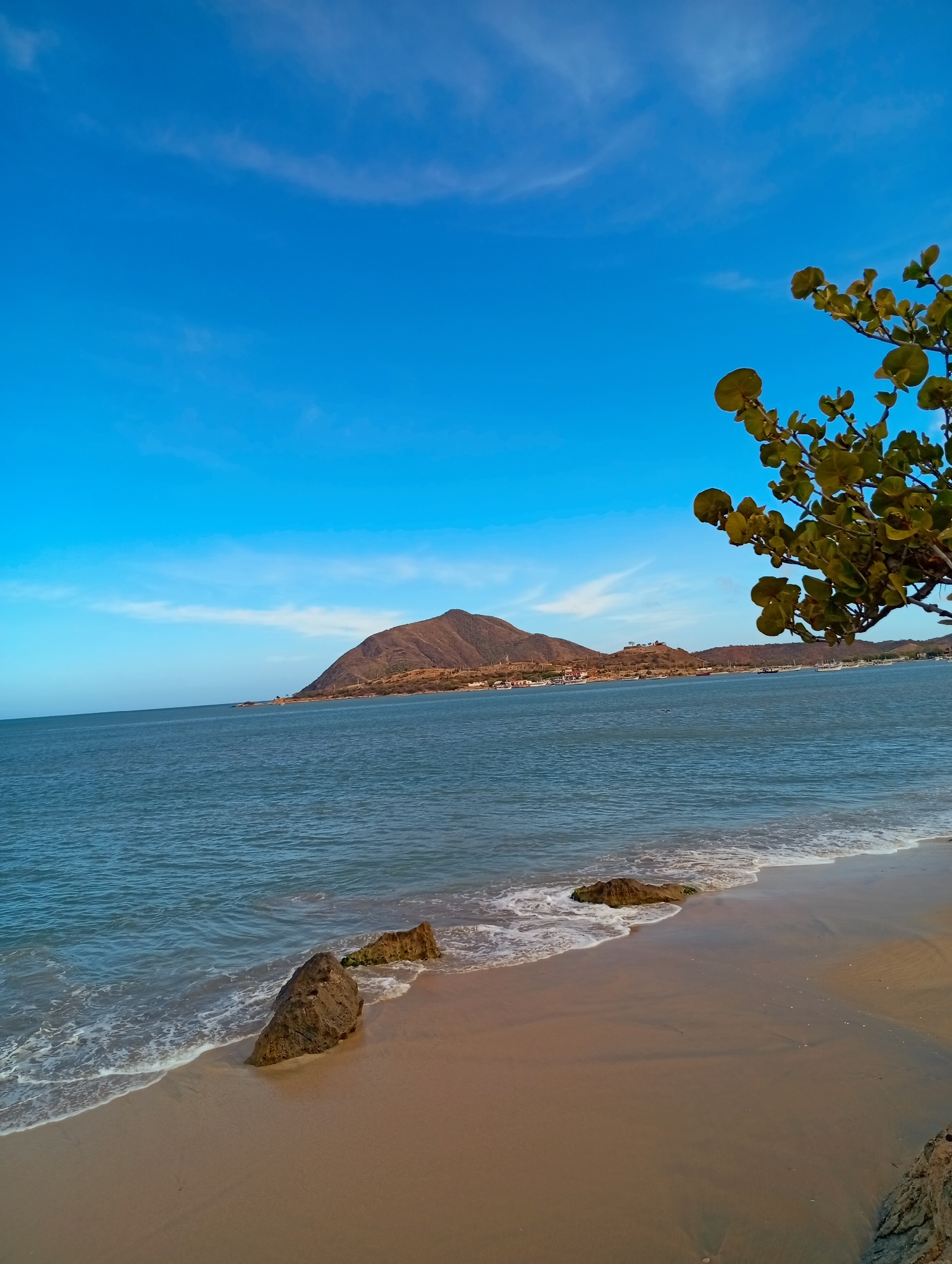 The image displays a coastal scene in Juan Griego, Venezuela, under a clear, bright blue sky with sparse, wispy clouds. In the immediate foreground, a sandy beach extends from the bottom left to the bottom right, characterized by light brown sand. Small waves with white foam break along the shore. Two dark, irregularly shaped rocks are partially submerged in the shallow water near the sand line. The central portion of the image is dominated by a calm, blue-grey body of water, indicative of a bay. In the distance, a large, prominent, dry, brown mountain or hill rises from the water's edge on the opposite shore. Along the base of this distant landmass, structures resembling buildings are visible, and numerous small boats are docked or anchored in the bay. A branch of a plant with green, circular leaves extends into the frame from the upper right, partially obscuring the sky and distant landscape. No individuals or discernible wildlife are present.