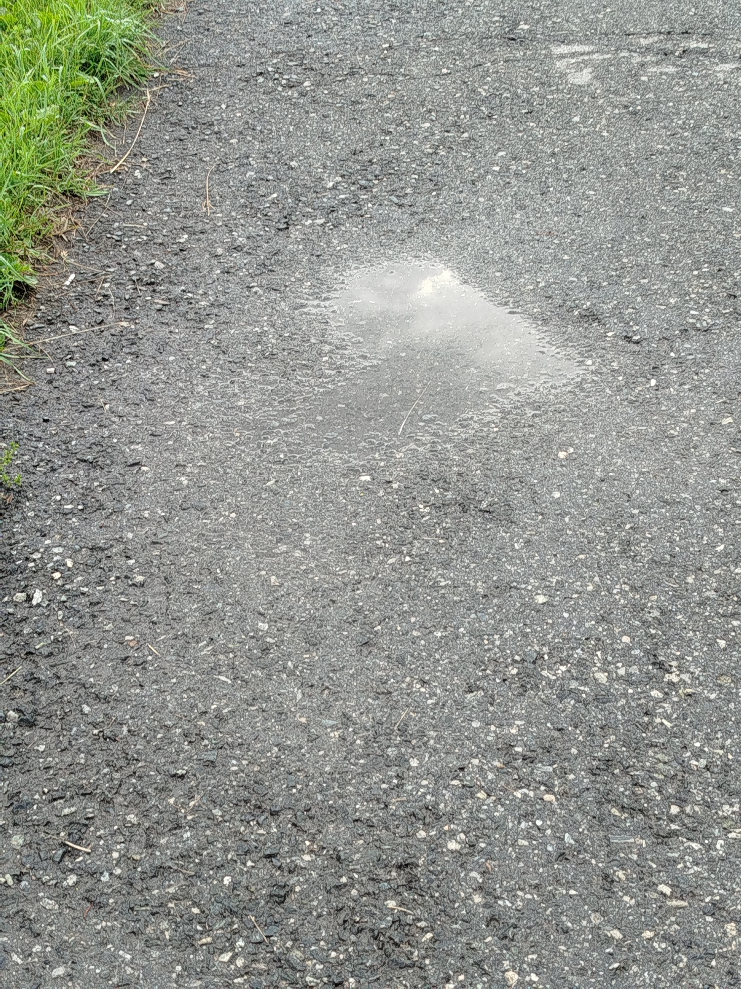 The image displays a section of an asphalt pathway with a puddle of water. To the left, the edge of a grassy area is visible. The asphalt is dark gray and composed of small stones. The puddle is in the center of the image, reflecting the sky. There are no people or animals present, and no specific activities are depicted. The scene appears to be outdoors, in a general urban or suburban environment. Without further information, the specific location within Zavodoukovsk, Russia, cannot be determined from the image alone.