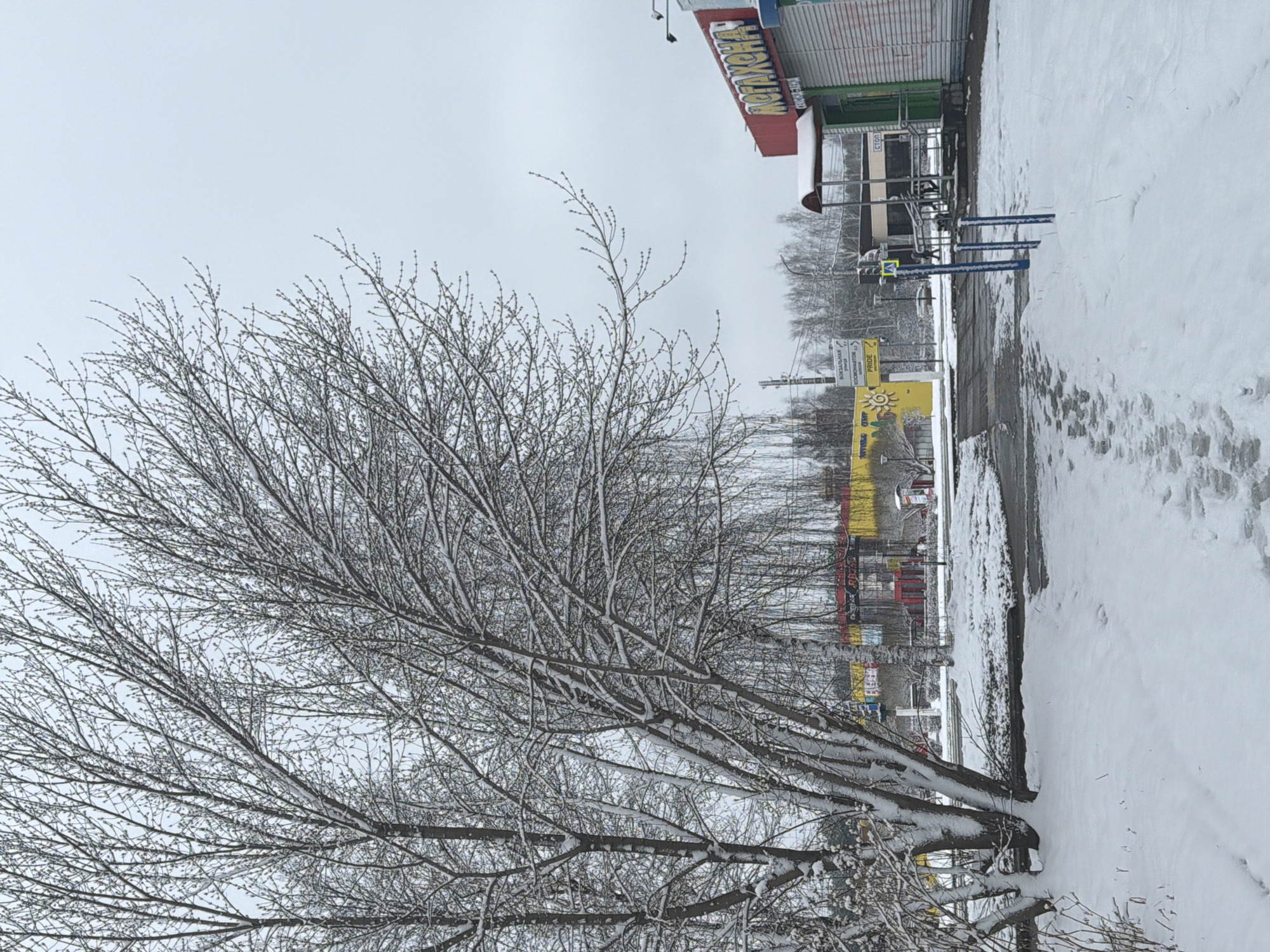 The image depicts a snowy winter scene in what appears to be the city of Chaikovsky, Russia. In the foreground, a bare tree covered in snow is the dominant feature. Behind the tree, a streetscape includes a paved road with snow accumulation, tire tracks visible. Further back, there are buildings with signage in Russian. The sky is overcast and grey.