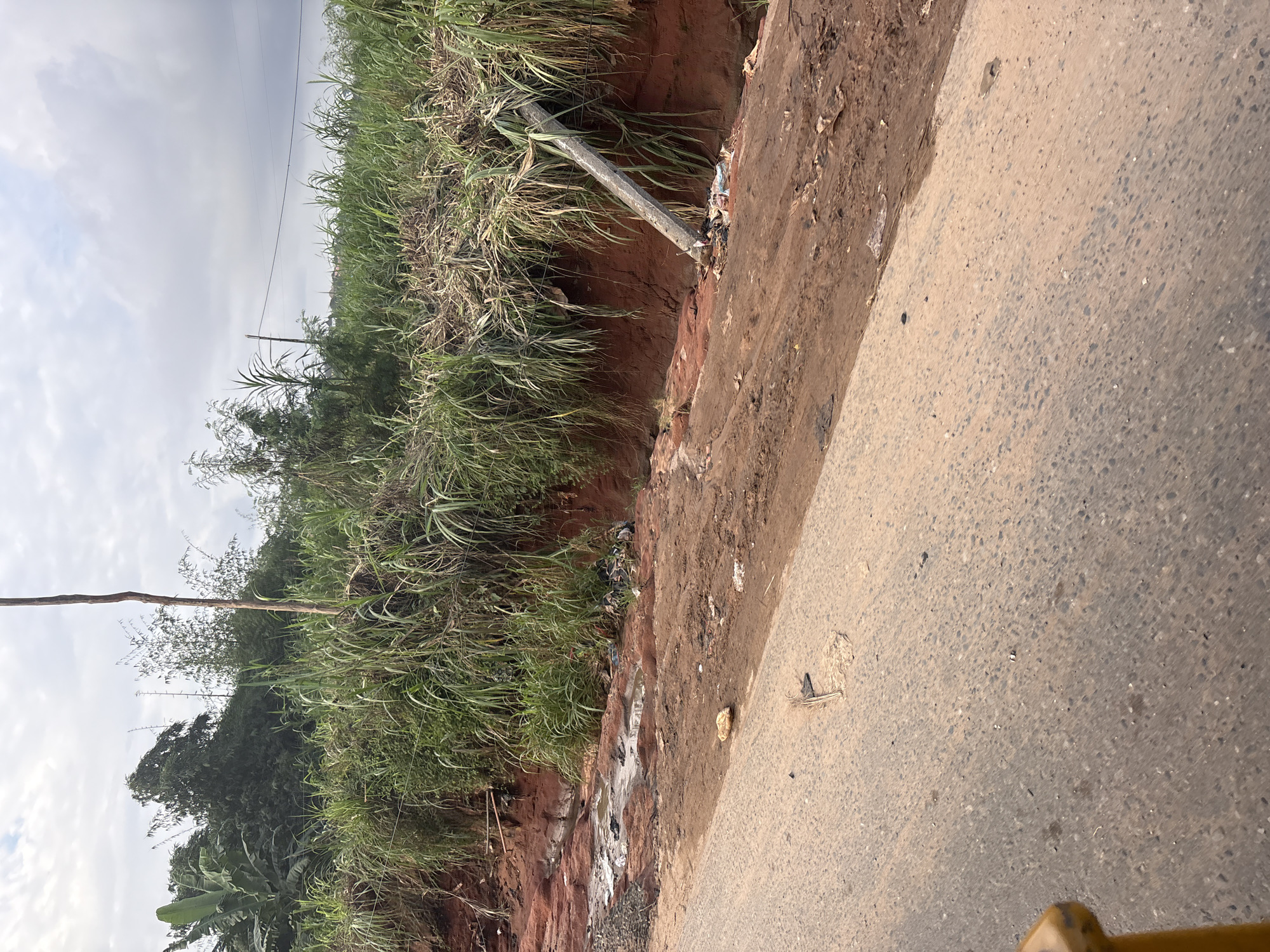 The image depicts a roadside scene in Orifite, Nigeria, characterized by erosion and disrepair. A paved road occupies the foreground, showing signs of wear and tear, with scattered debris. To the right of the road, a steep embankment of red earth has been eroded, exposing its layers. At the base of this embankment, a concrete utility pole lies on its side, surrounded by refuse. Tall green grasses and other vegetation grow along the top of the embankment and further into the background, where a dense forest is visible. The sky is overcast with clouds.
