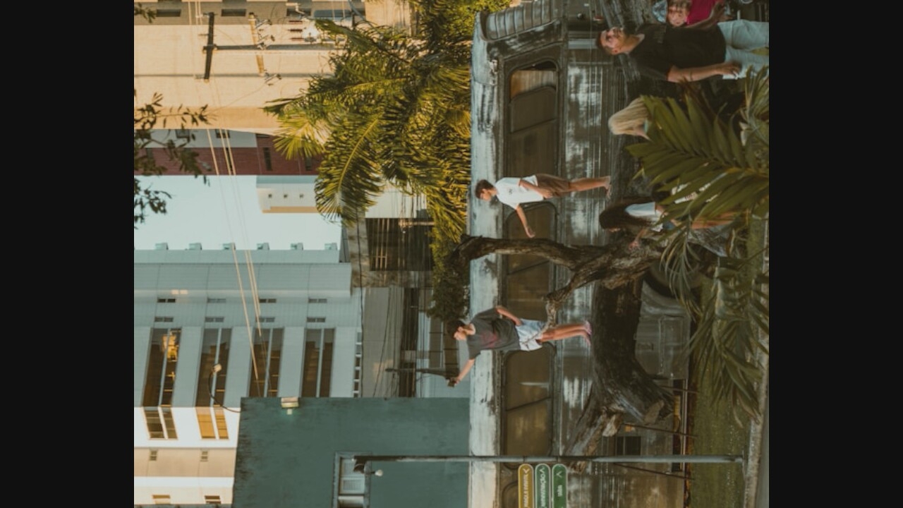 In an urban outdoor setting, two young men stand on a large fallen tree trunk that rests atop an aged, weathered bus. The man on the left, wearing a dark t-shirt and white shorts, holds up a phone, seemingly taking a selfie. He is barefoot. The man on the right, in a white t-shirt and brown shorts, gestures with his left hand towards something out of frame. He also appears to be barefoot. Behind the bus, a lush green palm tree is visible, and beyond that, several tall, modern buildings with many windows create a city skyline. A street lamp is attached to a pole on the left side of the frame. Further to the right, in the foreground, a man in a dark t-shirt and light pants stands looking to the side, and to his right, a person in a red shirt is partially visible. The lighting suggests it is late afternoon or early evening, casting long shadows.