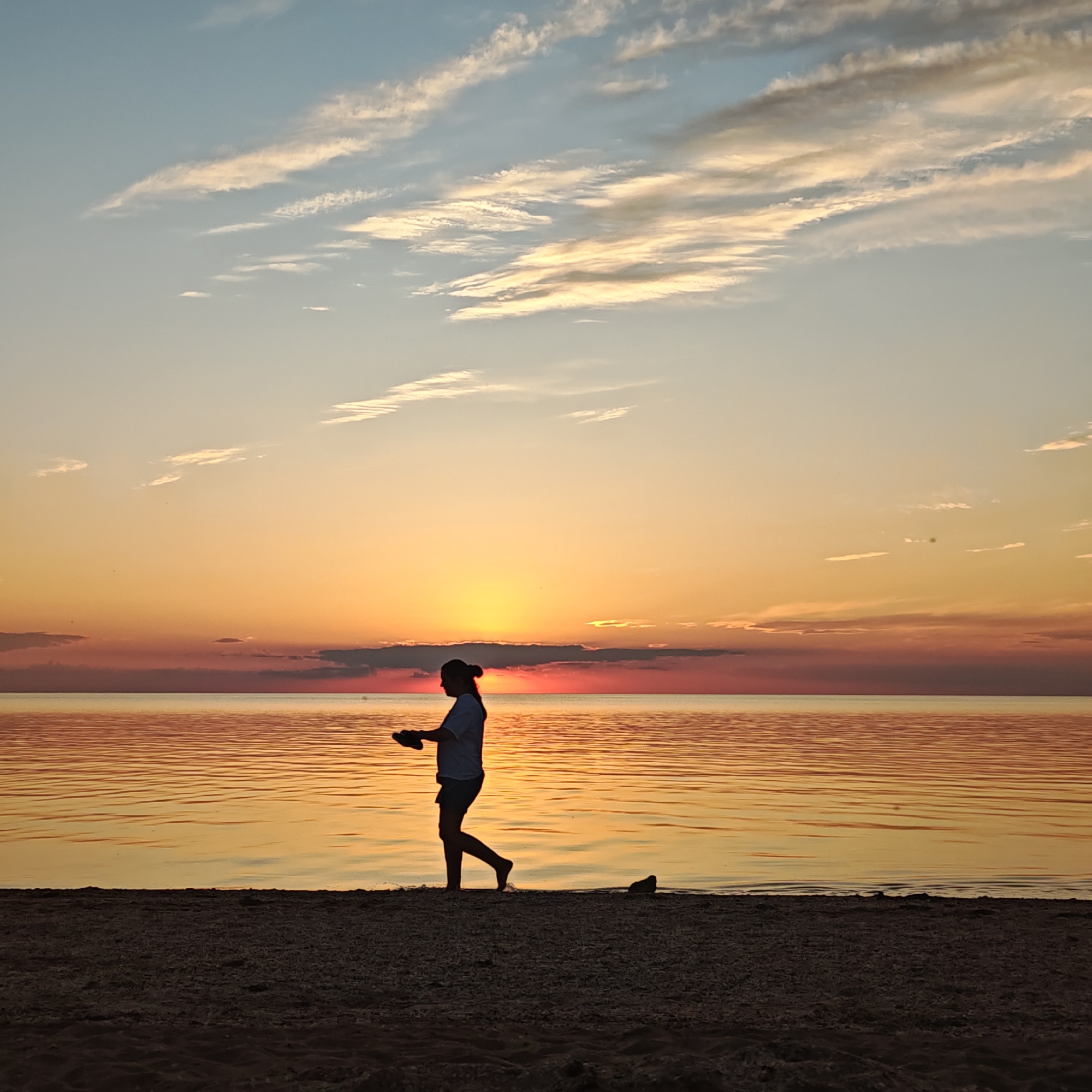 The image captures a sunset scene on a beach in городское поселение Щелкино, Ukraine. The sky displays a gradient of colors, from a pale blue at the top with scattered, wispy white clouds, transitioning to vibrant oranges, yellows, and reds at the horizon. The setting sun, largely obscured by the horizon and clouds, casts an intense glow that reflects vividly on the calm water surface, creating horizontal streaks of orange and red light.
In the mid-ground, a lone female figure is depicted in silhouette, walking barefoot from left to right along the wet sand at the water's edge. She wears a short-sleeved top and shorts, and her hair is pulled back into a bun. Her left hand is holding a pair of sandals. Her posture indicates a leisurely walk, with one foot making contact with the shallow water or wet sand. The foreground consists of dark, coarse sand, extending from the bottom of the frame to the water's edge, partially illuminated by the residual light. A dark, indistinct object, possibly a lost shoe or piece of debris, rests on the sand to the right of the walking figure. The overall environment suggests a tranquil coastal setting during dusk.