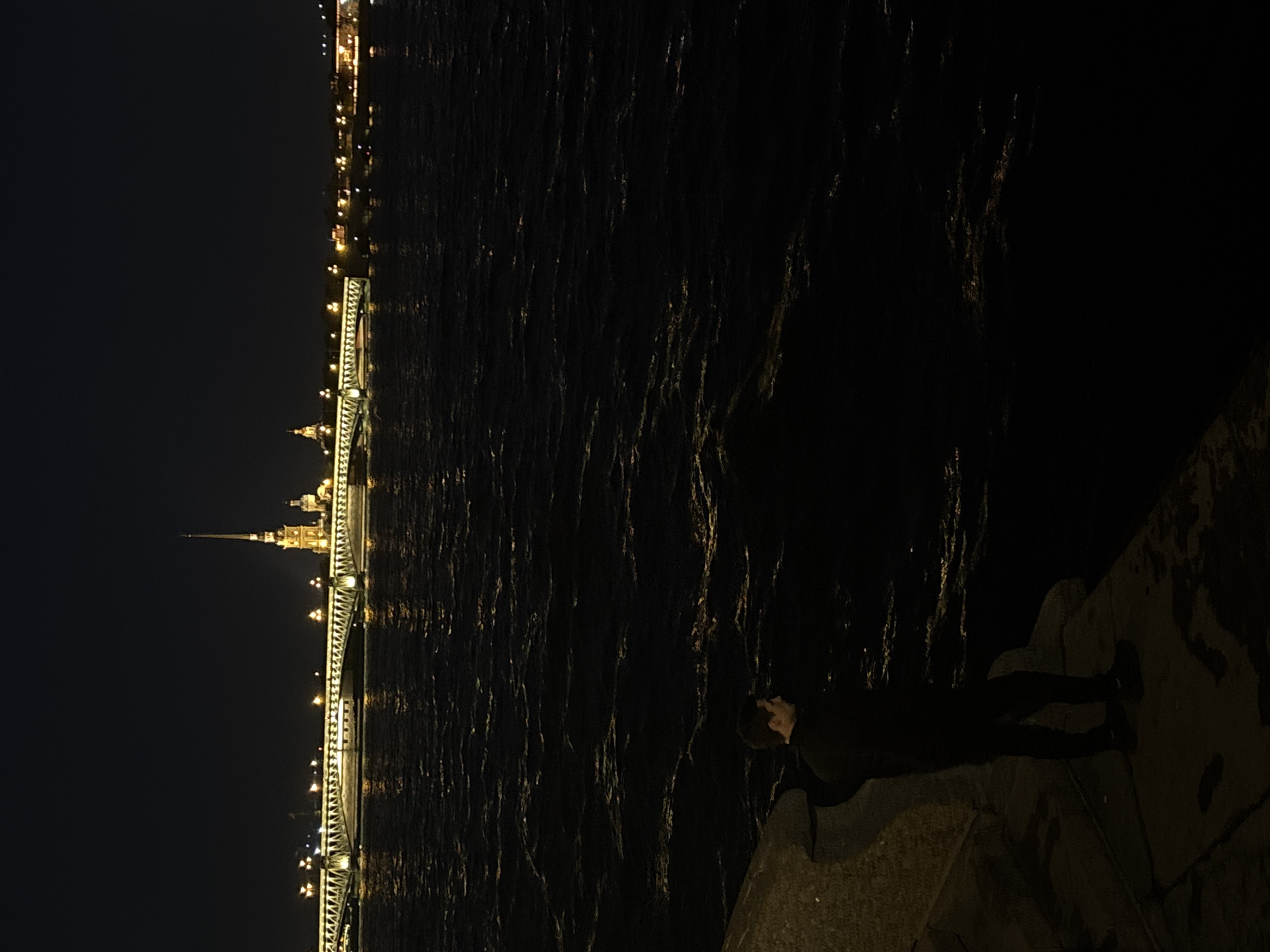The image shows a night scene in St. Petersburg, Russia, with a person standing on a stone embankment next to a body of water reflecting the lights from the city. In the background, the illuminated Palace Bridge and the Peter and Paul Fortress are visible on the left. The water is dark and choppy, with light reflecting off its surface. The person is silhouetted and is standing near the edge of the embankment. The overall lighting is dim, creating a nocturnal ambiance.