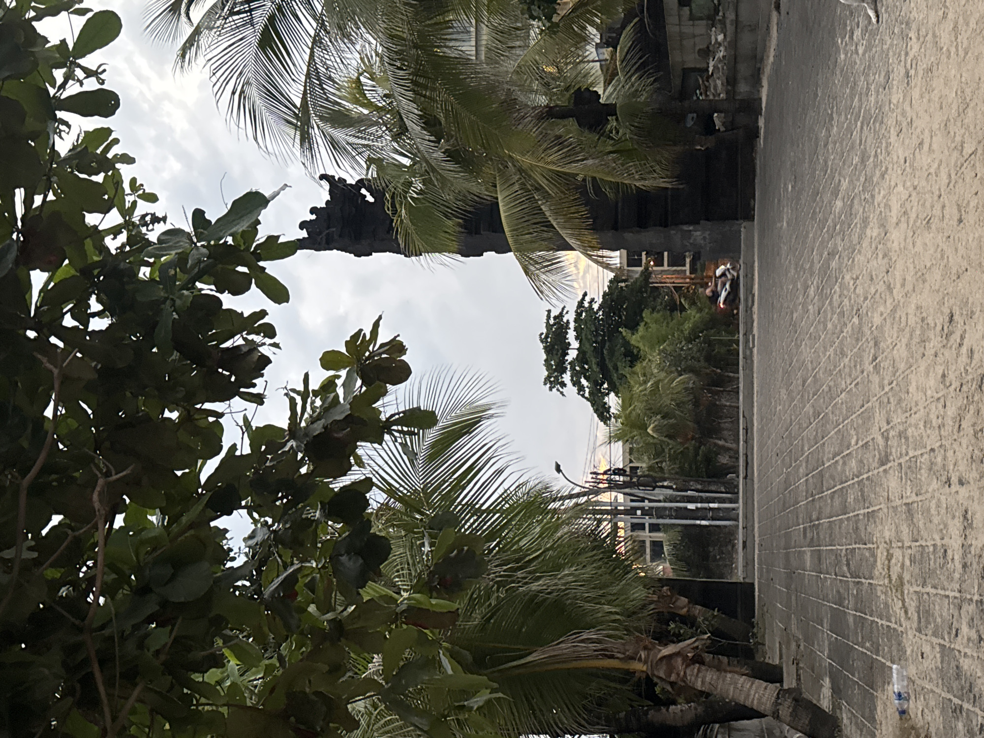 The image depicts a street scene in Kuta, Indonesia, likely near a beach. In the foreground, a paved walkway composed of light-colored rectangular stones stretches towards the background, bordered by sand on the left. Several palm trees with their characteristic trunks and fronds are visible, particularly on the left and right sides of the image. Lush green foliage from trees overhangs the scene from above, creating a sense of a tropical environment.
Dominating the center-right is a dark, tall, ornate structure that appears to be a monument or a gate, possibly with intricate carvings. In the mid-ground, a person is riding a scooter, moving from left to right across the walkway. Behind the scooter, a building with multiple windows can be seen, suggesting a commercial or residential area. Further in the background, more trees and vegetation are present, with a street light visible. The sky is overcast, with diffused light suggesting it could be early morning or late afternoon. On the sandy area to the left, a discarded plastic water bottle is visible. The overall impression is of a moderately busy urban environment in a tropical location.