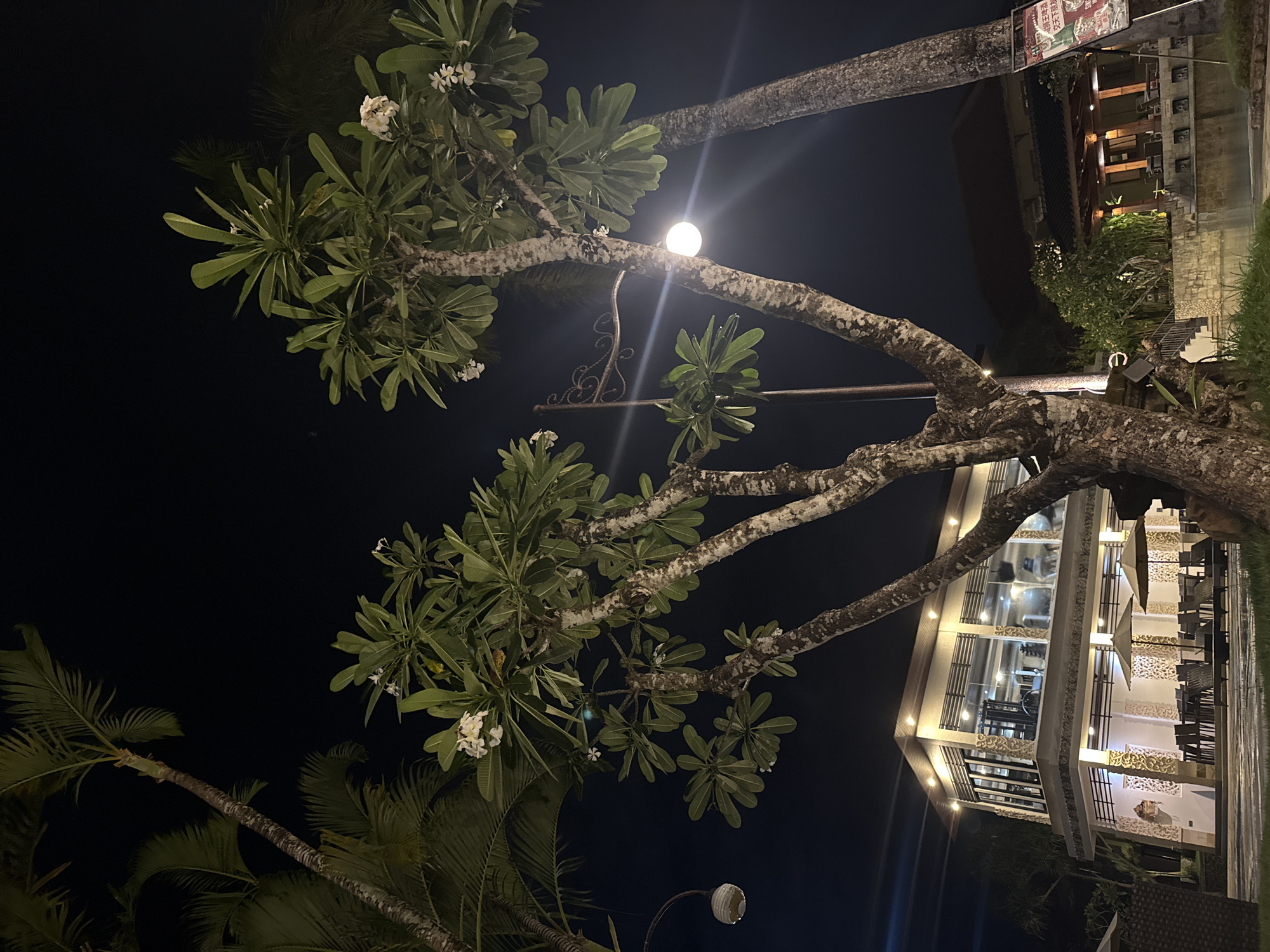 In the city of Kuta Selatan, Indonesia, a night scene captures a resort or restaurant establishment. Dominating the foreground are the textured trunks and leafy branches of several trees, some bearing white flowers. One tree trunk is partially illuminated by a bright, spherical light fixture. Palm trees with fronds are visible against the dark night sky.
In the mid-ground, a modern building with large windows and multiple levels is illuminated by warm interior and exterior lighting. Below this building, outdoor seating areas with chairs and tables are arranged, some under umbrellas. Intricate decorative carvings adorn the facade of the lower level of this building.
To the right, a glimpse of another building with a traditional architectural style is visible, also lit from within. A sign with red lettering is affixed to a palm tree on the right side of the frame. The ground appears to be paved or tiled in some areas, with patches of grass. The overall atmosphere suggests a tropical resort or a dining establishment open in the evening.