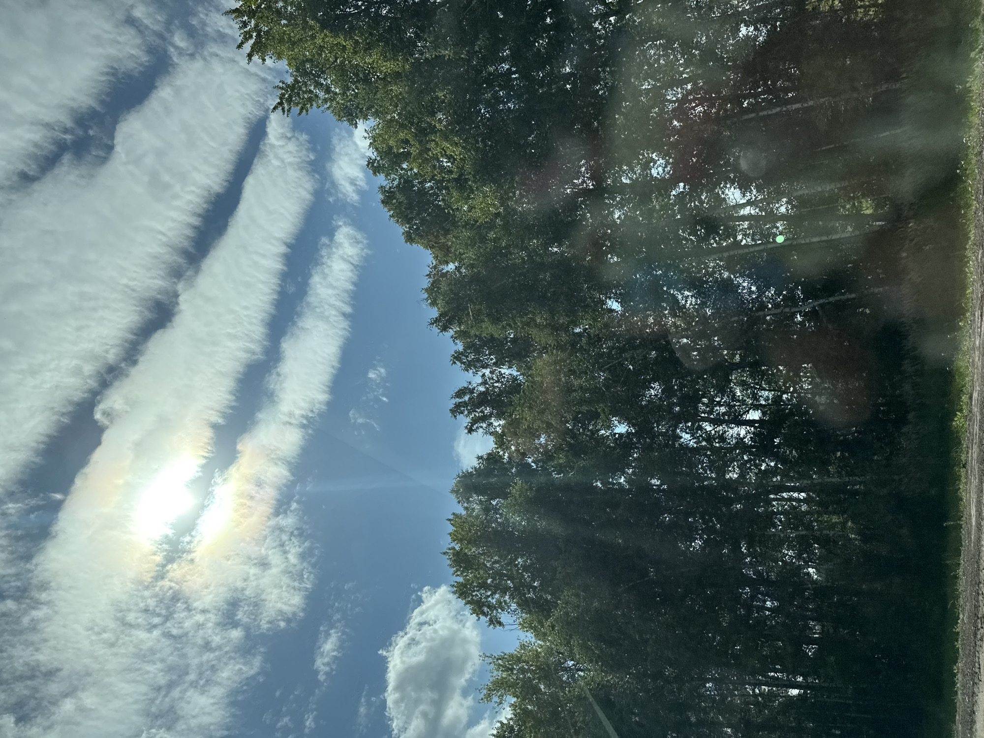 The image depicts a natural outdoor scene with a focus on the sky and a line of trees. The sky is bright blue with a mix of white clouds. Some of the clouds are thin and elongated, forming horizontal bands, while others are puffier and more scattered. The sun is visible in the upper left quadrant of the sky, partially obscured by clouds, creating a bright glow and lens flare effect that casts rays of light downwards. A faint rainbow-like halo surrounds the sun.

Dominating the lower portion of the image is a dense line of trees with lush green foliage. The trees are tall and appear to be deciduous, with many slender trunks visible, suggesting a forest or a wooded area. Sunlight filters through the leaves, creating dappled light and shadows within the foliage. The ground in the foreground appears to be a dirt or gravel path with some sparse grass. There are no people or man-made structures visible in the image.

The image is an outdoor photograph taken from a slightly elevated perspective, possibly from a moving vehicle given the slight blur and reflections on the lower part of the image which could be from a windshield. The lighting suggests it is daytime, likely late morning or afternoon, due to the intensity of the sunlight and the angle of the light rays.

There is no information within the image that can be used to determine the location in the city of Borma, Russia. The scene is generic and could be found in many wooded areas.