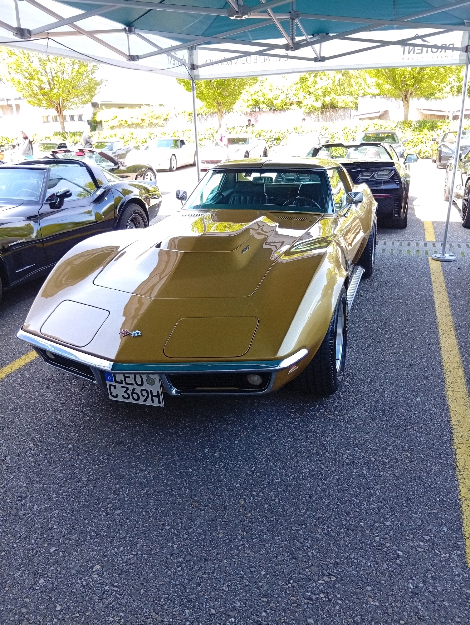A gold Chevrolet Corvette Stingray is parked on asphalt under a blue canopy at an outdoor event in Langenthal, Switzerland. The car's front end is angled towards the camera, revealing its distinctive long hood, pop-up headlights (closed), and chrome bumper. A license plate with the characters "D LEO C 369H" is visible on the front bumper. The car is next to a black Chevrolet Corvette. In the background, more cars, trees, and buildings are visible. The scene appears to be a car show or exhibition.