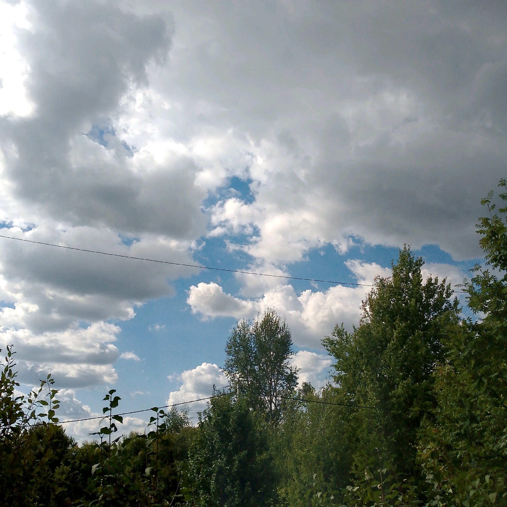 The image depicts a cloudy sky above a dense line of trees. The sky is a mix of dark grey and white clouds, with patches of blue sky visible. A thin black wire stretches horizontally across the image, running in front of the clouds and trees. The trees are lush and green, appearing to be deciduous. The foliage is thick and varied in texture. The overall impression is of an outdoor scene, likely a rural or suburban area, given the natural elements. There are no people or specific structures visible that would definitively place it within a city, however, the mention of Nikologory, Russia, suggests this is the intended context.