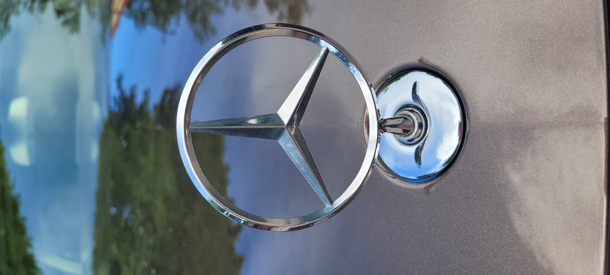 The image shows a close-up, eye-level shot of a chrome Mercedes-Benz hood ornament, a three-pointed star within a circle, positioned centrally on the hood of a brown car. The hood ornament is highly reflective, mirroring the sky and surrounding greenery. The background, also a reflection on the car's surface, shows blurred trees and what appears to be a body of water. The car's hood has a metallic brown finish with subtle texture visible. No people or actions are depicted. The scene is likely outdoors, given the reflections of the sky and trees. The specific location in Riga, Latvia, cannot be determined from the image alone.