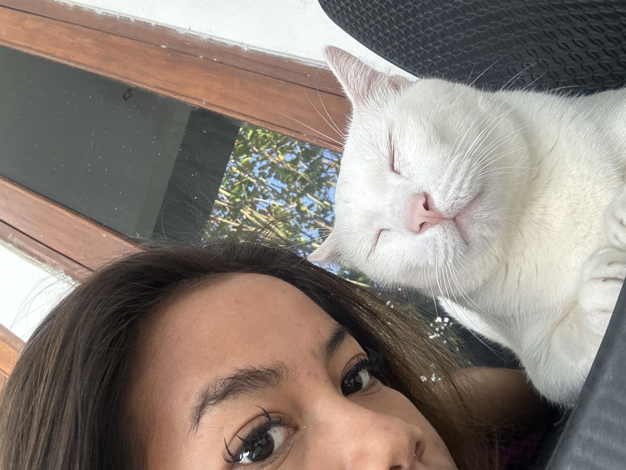 A close-up, high-angle selfie shows a young woman with dark hair and prominent eyelashes, her left eye visible. To her right, a fluffy white cat with its eyes closed is nestled in what appears to be a black cushioned chair. The background is out of focus, but a wooden-framed window with reflections of trees and blue sky can be discerned. The scene is set outdoors, possibly on a porch or patio, under bright daylight conditions. The woman and cat are positioned closely together, suggesting a moment of shared relaxation. The location is identified as Sukawati, Indonesia.