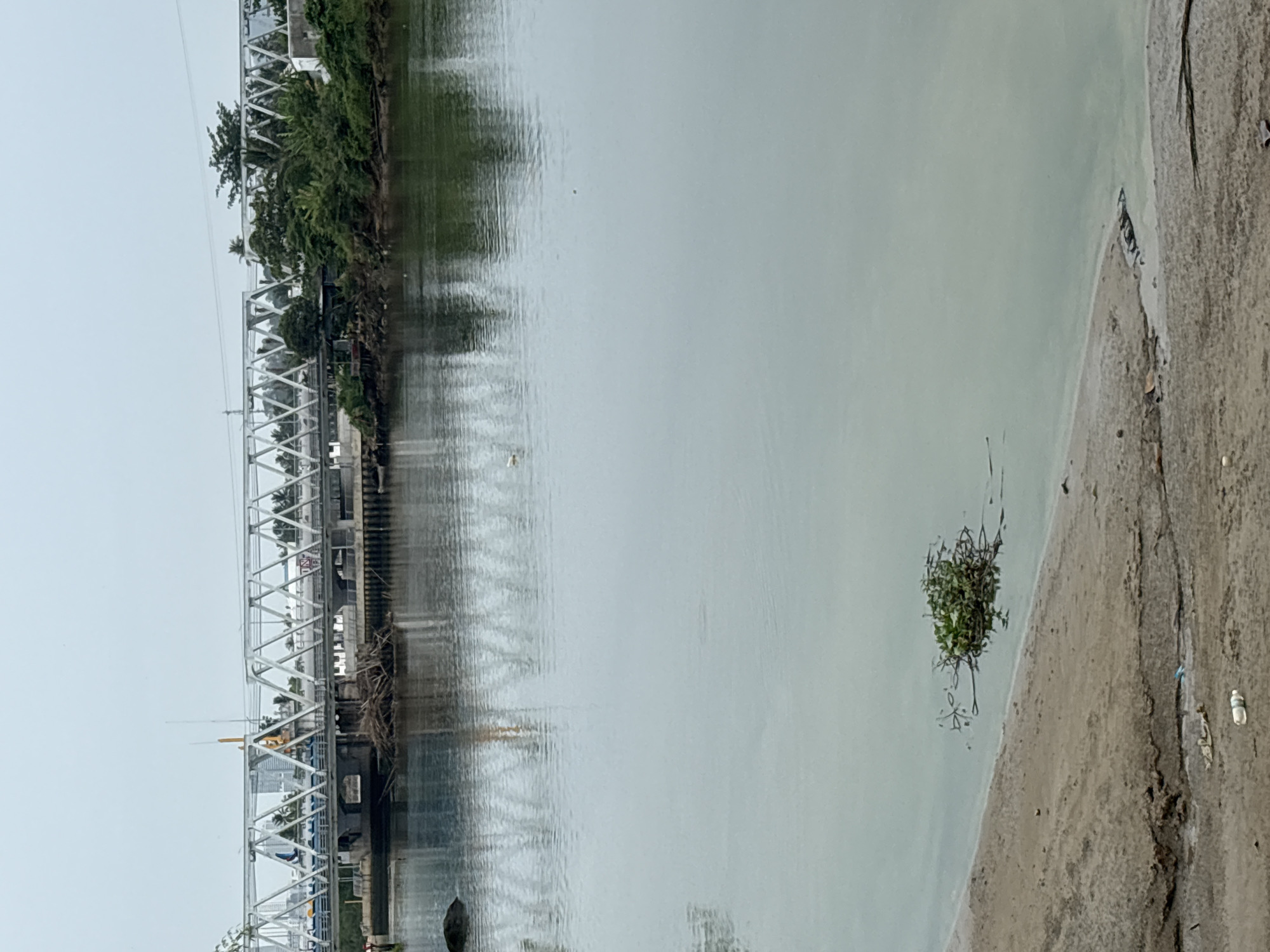 The image depicts a river or canal in Nha Trang, Vietnam, with a prominent truss bridge spanning the waterway. The bridge, constructed of white metal beams forming an intricate lattice pattern, carries a road and possibly train tracks. Beneath the bridge, there is a concrete structure, and debris, including a large pile of branches and sticks, has accumulated near the bank. The river's surface is calm and reflects the sky and the bridge structure. On the left bank, a sandy area is visible, littered with some plastic bottles and other small debris. On the right side of the river, lush green trees and vegetation grow along the bank, with some buildings partially visible behind them. In the middle of the river, a small clump of aquatic plants floats on the surface. The sky is overcast, contributing to the muted color palette of the scene.