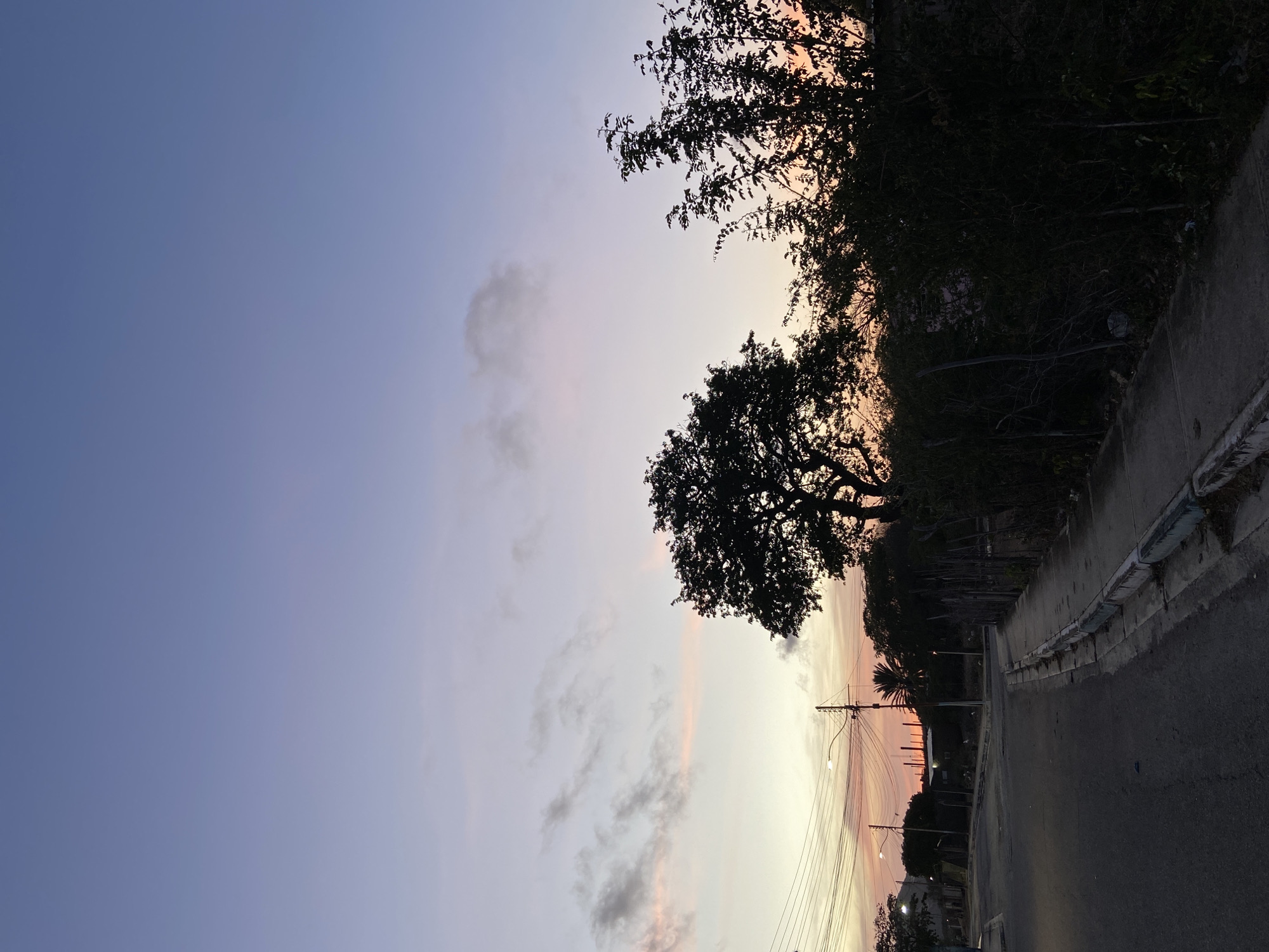 This image captures a serene sunset or sunrise scene over a street in Juan Griego, Venezuela. The sky dominates the upper and left portions of the frame, displaying a beautiful gradient of colors. Higher up, the sky is a soft blue-purple, transitioning to warmer hues of light yellow, orange, and pink near the horizon. Wispy, scattered clouds are visible, particularly in the middle left of the sky.
Silhouetted against this colorful sky are several prominent elements. Along the right side of the image, a dense line of trees and foliage forms a dark, irregular border, with a large, gnarled tree standing out in the mid-right. A paved road stretches into the distance in the lower right, bordered by a concrete curb or sidewalk. Utility poles and a network of overhead wires are starkly silhouetted along the roadside, with two streetlights visible. Further down the road, a palm tree and faint outlines of buildings are also seen against the warm glow of the horizon.
The scene is devoid of people or specific activities, emphasizing the natural beauty of the twilight hour. The soft, luminous quality of the sky suggests a peaceful and tranquil atmosphere. There is no visible text in the image.