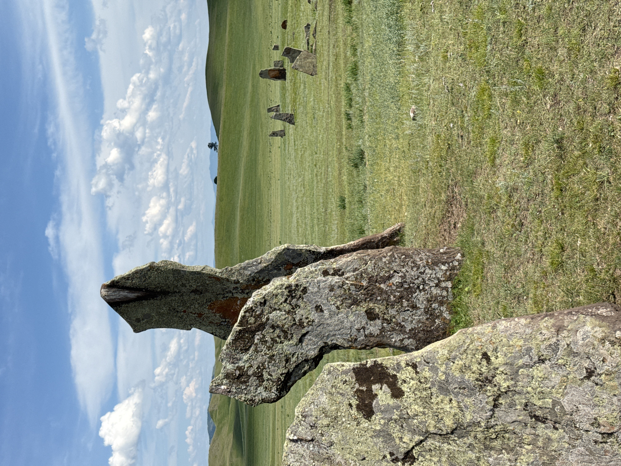 The image depicts a field of standing stones under a cloudy blue sky. The foreground features three large, weathered stones covered in lichen. In the midground, numerous smaller standing stones are scattered across a green, grassy plain. The background consists of rolling green hills, with a single tree visible on one of the hills. The scene appears to be an archaeological or historical site, likely in a rural, open landscape. The location is identified as Сафронов, Russia.
