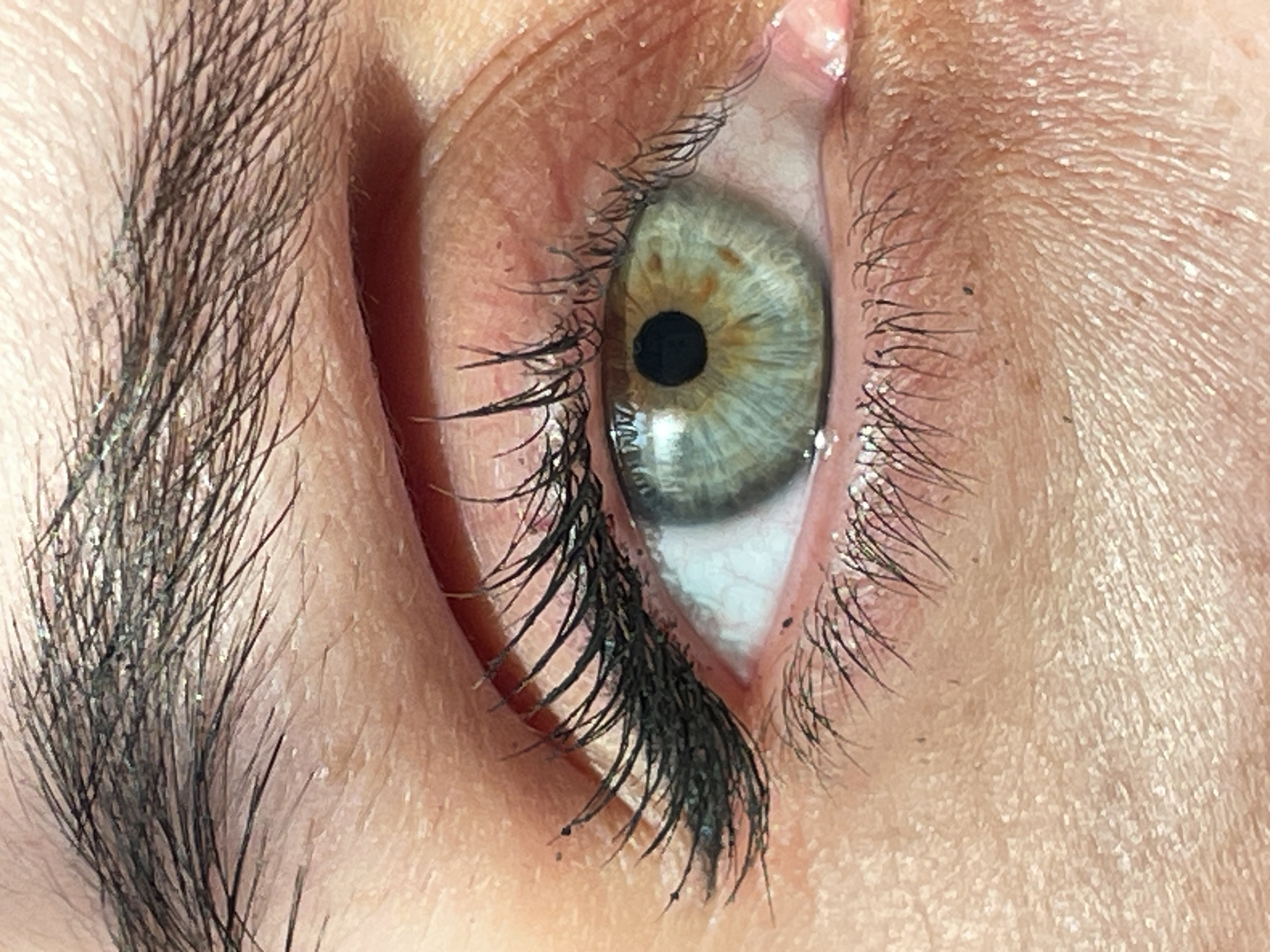 This extreme close-up shot focuses on a single human eye, revealing intricate details of the iris, pupil, surrounding skin, eyelashes, and eyebrow.
The central subject is a light-colored eye, with a greenish-grey iris that features subtle flecks of light brown or amber, particularly closer to the pupil. The pupil itself is dark and appears moderately dilated. Long, dark eyelashes are prominent, especially on the lower lid, where they appear somewhat clumped, suggesting mascara or a similar product. Some dark specks, possibly makeup residue or debris, are visible among the lower lashes and on the surrounding skin.
The skin around the eye shows fine lines and texture, indicative of an eyelid and brow area. There are visible pores and some dry or flaky skin, particularly around the eyebrow and near the lash line on both the upper and lower lids. A thick, dark eyebrow fills the left side of the frame, with individual hair strands clearly visible. Some white or light-colored particles, possibly dead skin cells or product residue, are noticeable within the eyebrow hairs.
No specific activity is depicted other than the eye being open and observed at very close range. There are no discernible location cues within the image, but the provided context places the location in Izhevsk, Russia. The lighting appears bright and direct, highlighting the textures and details of the eye and skin. No text is visible in the image.
