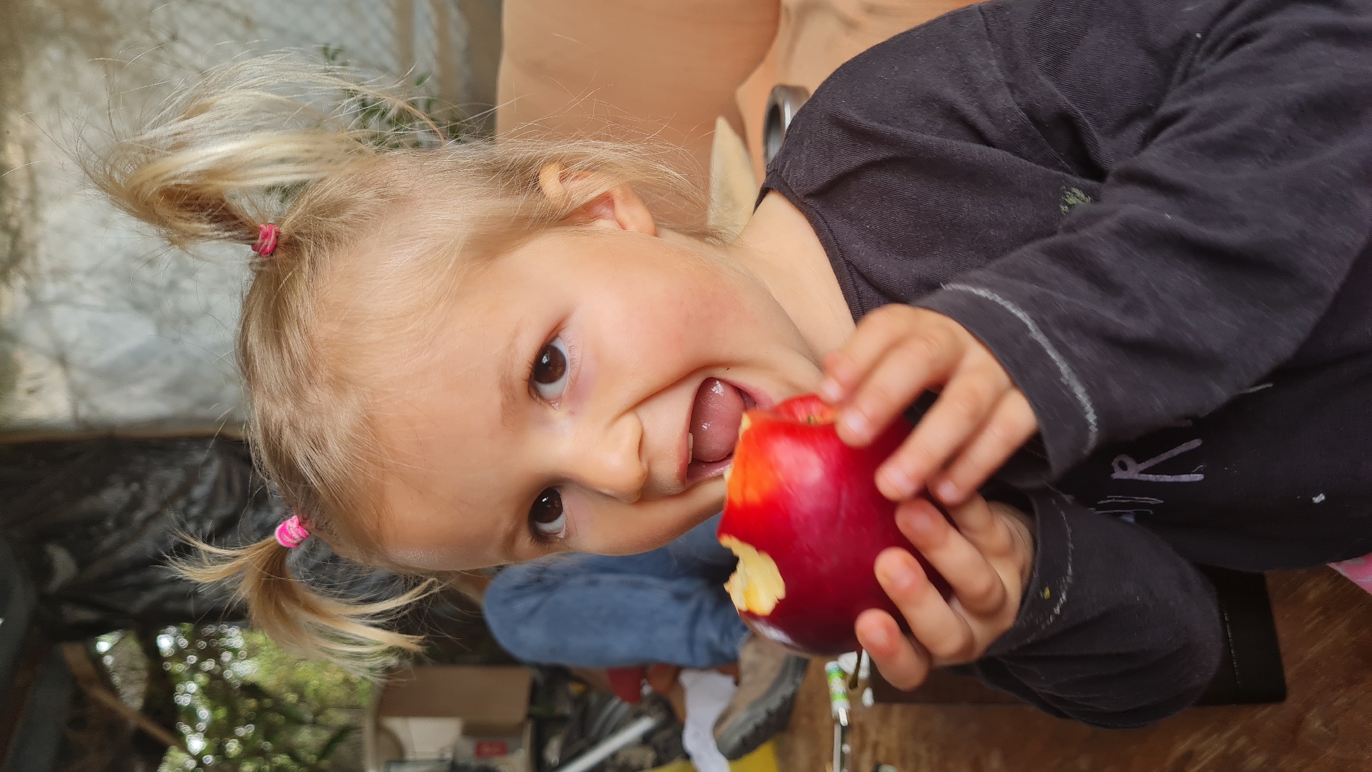 A joyful young child with blonde hair, styled in pigtails secured with pink hair ties, is captured in a close-up shot, looking directly at the camera. The child has a wide, happy expression with an open mouth, mid-bite into a vibrant red apple. A significant portion of the apple has already been bitten off. The child is wearing a black long-sleeved shirt with faint white markings or chalk designs on it, including a stylized 'R' visible on the front. In the blurred background, another person wearing blue jeans is partially visible, along with indistinct elements suggesting an outdoor or semi-outdoor setting with natural lighting. The overall mood is cheerful, depicting a child enjoying a snack in what appears to be a casual daytime environment in the Lachish Regional Council, Israel.