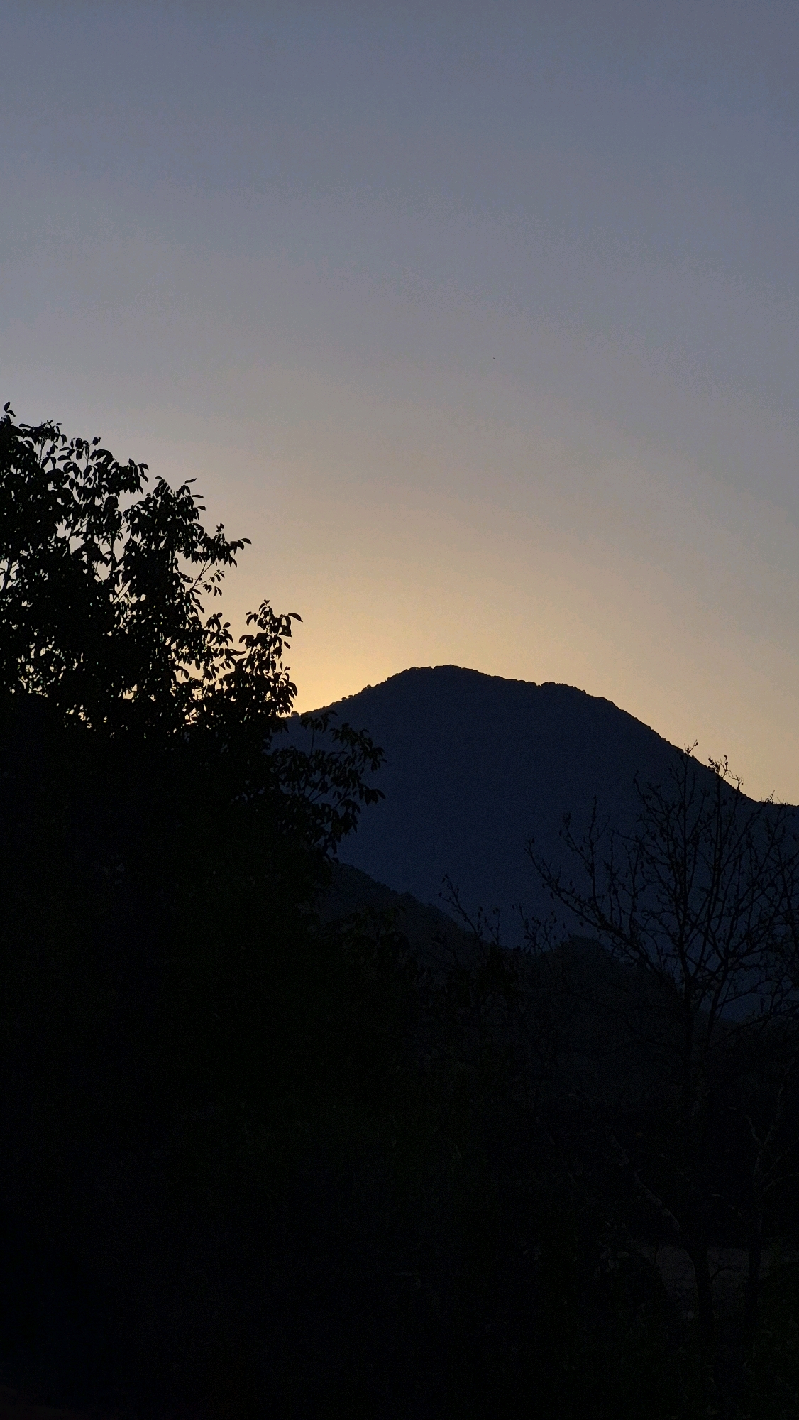 The image depicts a silhouette of a mountain against a twilight sky. In the foreground, dark silhouettes of trees and foliage obscure the lower part of the scene. The sky transitions from a pale blue at the top to a soft yellow-orange near the horizon, suggesting either sunrise or sunset. The peak of the mountain is sharply defined against this lighter sky. The overall impression is one of a natural landscape at the cusp of day and night. The location is specified as Unknown, Unknown.