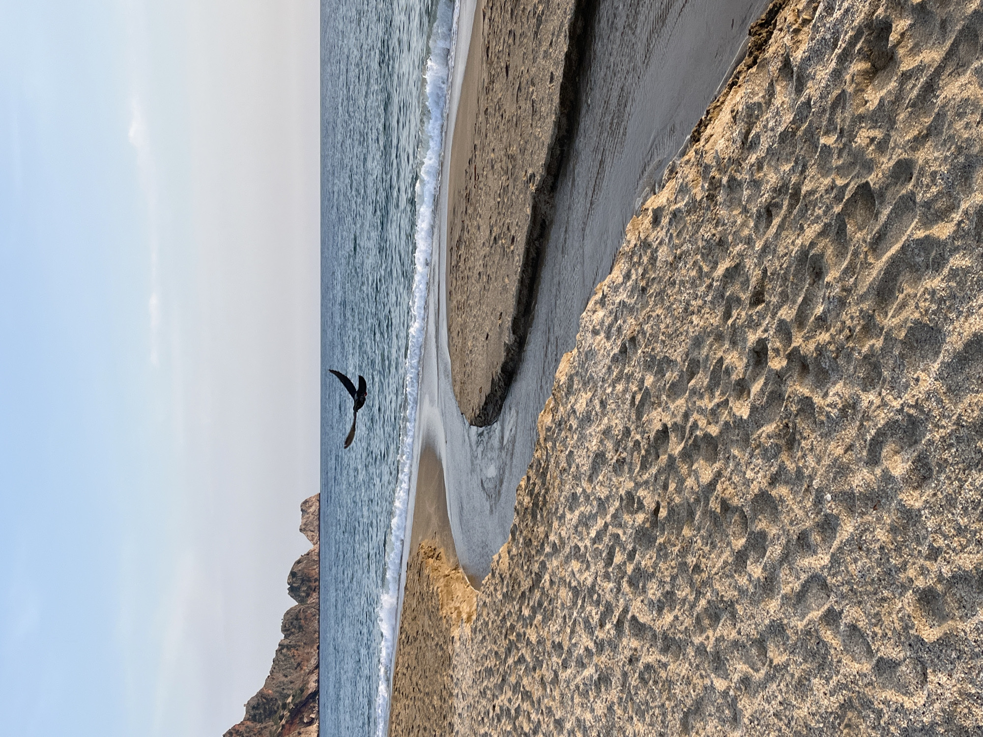 The image depicts a beach scene with a bird in flight, taken in Alanya, Turkey. The environment includes a sandy beach with visible footprints, a body of water with small waves, a rocky cliff formation, and a light blue sky with faint clouds. The bird is silhouetted against the sky and sea. The beach appears to have a small channel or stream running through it.