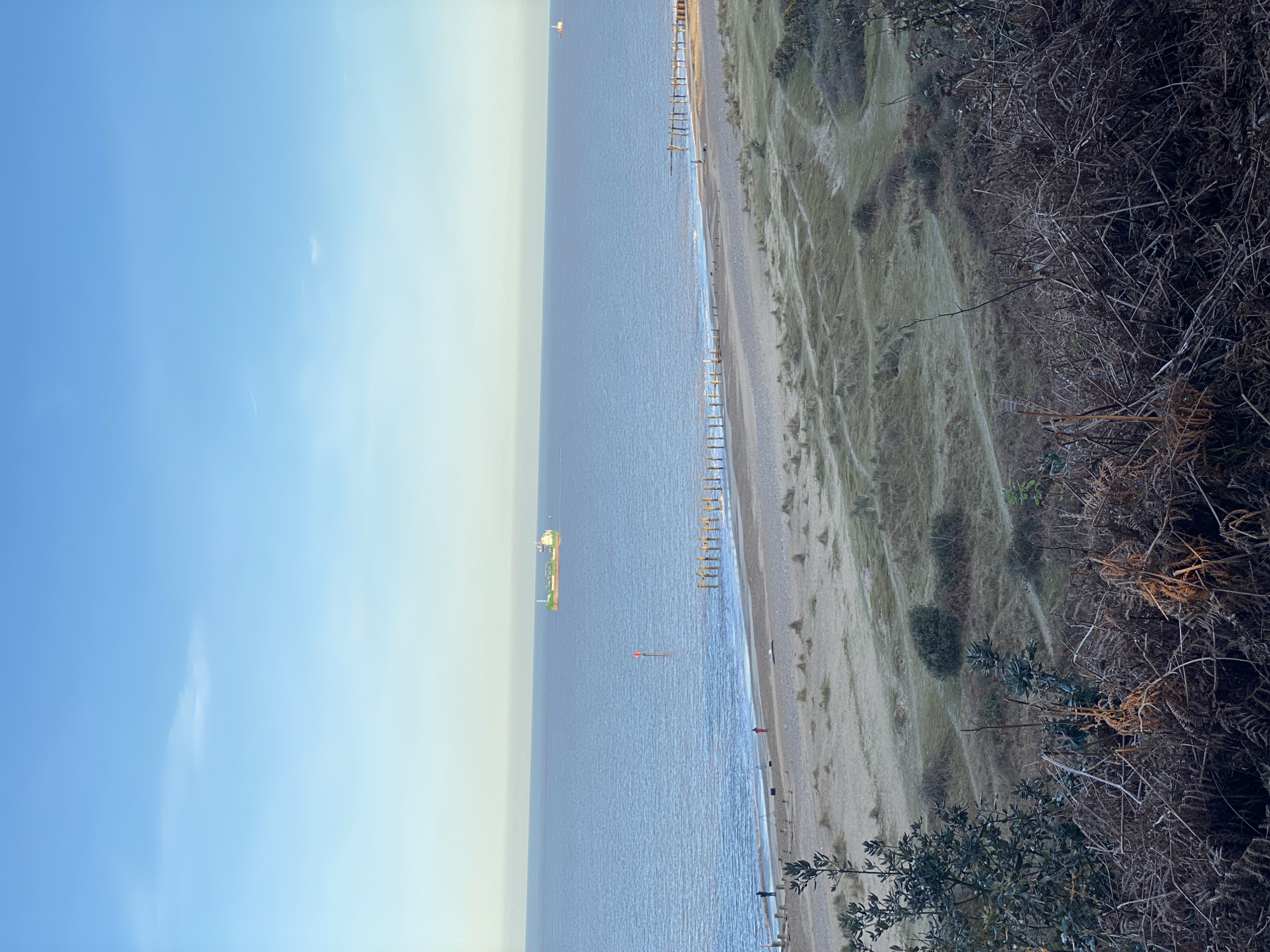 The image shows a beach scene in East Suffolk, United Kingdom. The view is taken from an elevated position overlooking the coastline. A calm body of water occupies a large portion of the image, with a large ship visible in the distance. The beach consists of sand and vegetation-covered dunes. Wooden breakwaters are positioned along the shoreline to prevent erosion. Several people are visible on the beach, though they appear small in the frame. Vegetation, including dried plants, frames the right edge of the image, indicating the viewpoint is from a natural area. The sky is clear with a gradient from a light blue near the horizon to a deeper blue overhead.