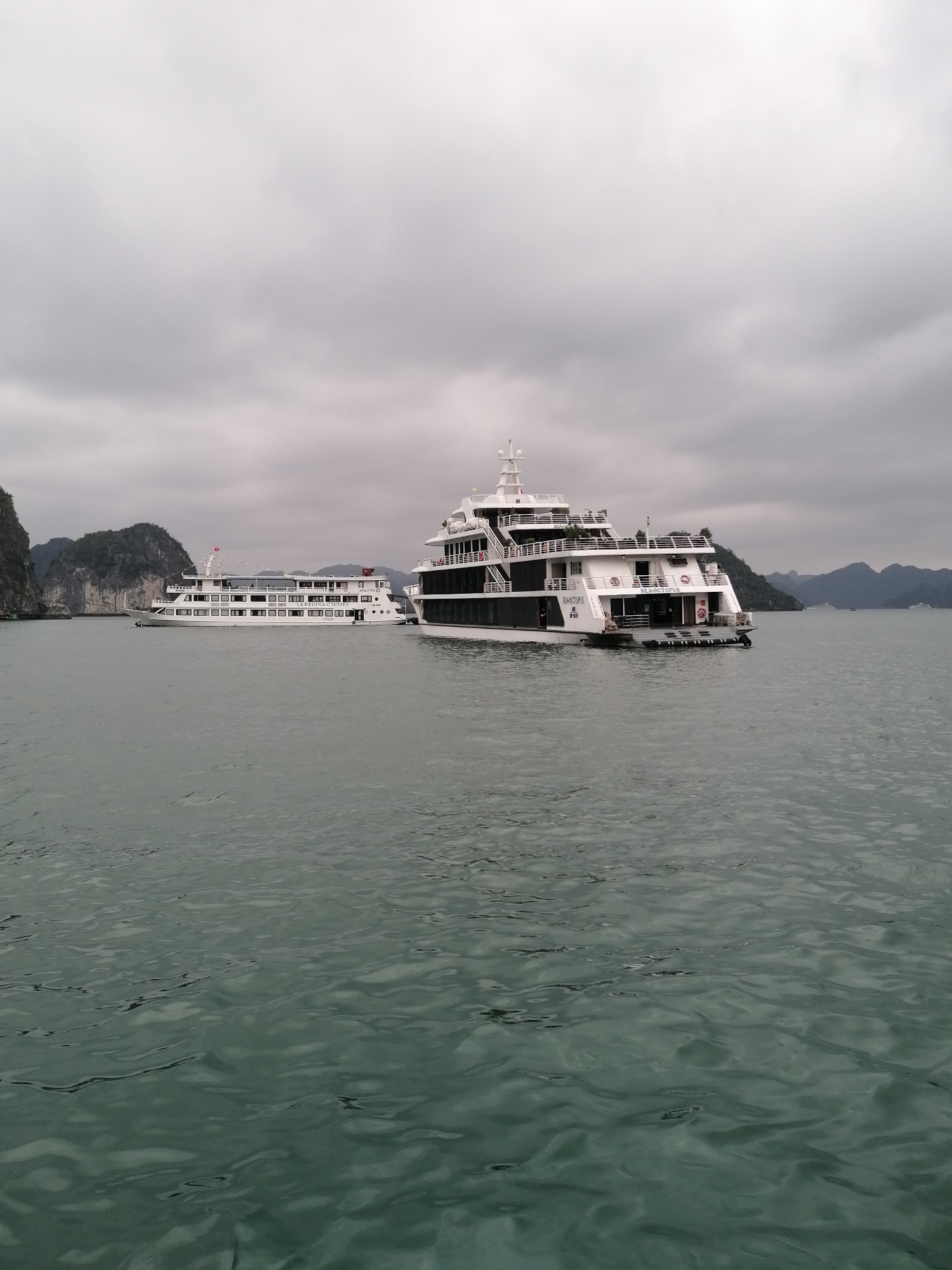 This image captures a serene yet atmospheric scene in Ha Long Ward, Vietnam, showcasing two large cruise boats amidst the iconic karst limestone formations. The weather is overcast, with a uniform grey sky dominating the upper portion of the frame, contributing to a muted color palette.
In the foreground, a tranquil body of water, likely Ha Long Bay, displays gentle ripples. Two multi-deck passenger boats are the primary subjects. The boat on the left, an elongated white vessel, is partially obscured by the larger boat on the right. Visible text on its side clearly reads "LA BEAUTE CRUISES" and "HA LONG - VIETNAM".
The boat on the right is a prominent, multi-deck white and dark-hulled cruise ship, shown from its stern and starboard side. Its upper decks feature railings and some greenery, possibly potted plants. The stern displays the name "SEACRUISE", with "HALONG" and the registration number "HP 91099" below it. Additionally, the Vietnamese text "VỊNH HẠ LONG" (Ha Long Bay) is visible.
In the background, a series of dark, rugged limestone islands and mountains rise dramatically from the water, characteristic of Ha Long Bay's unique landscape. These formations appear distant and somewhat hazy due to the atmospheric conditions. The boats seem to be either docked alongside each other or anchored in close proximity, suggesting a stop or transfer activity. The scene is set during the daytime, though the heavy cloud cover prevents bright sunlight.