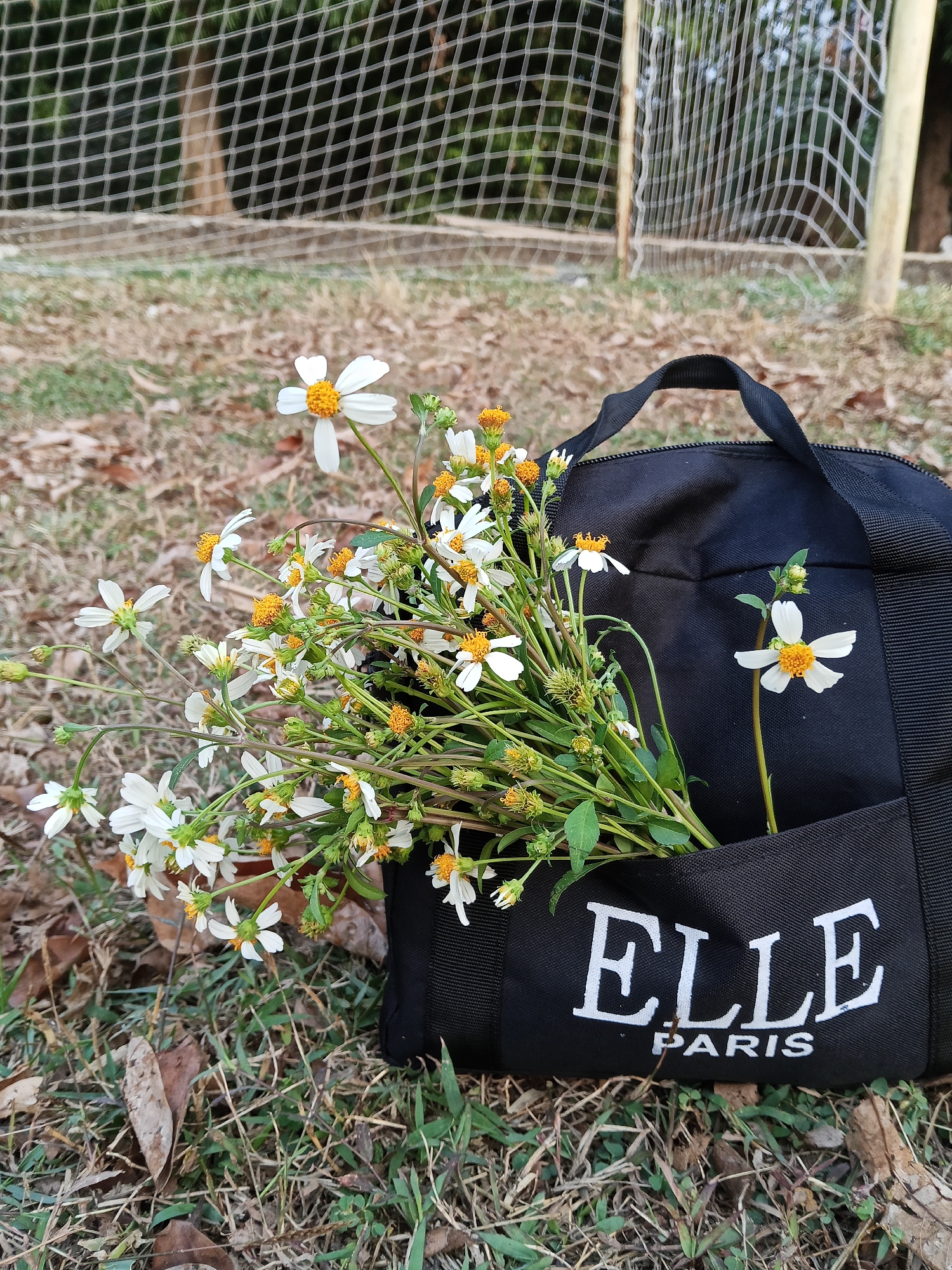A black tote bag with "ELLE PARIS" printed in white on the front pocket is lying on dry grass and fallen leaves. A bouquet of small white flowers with yellow centers is tucked into the bag. In the background, a wire mesh fence is visible, supported by wooden posts. The scene appears to be outdoors, possibly in a park or open field, during daylight hours. The location in Semarang, Indonesia, is not discernible from the image.