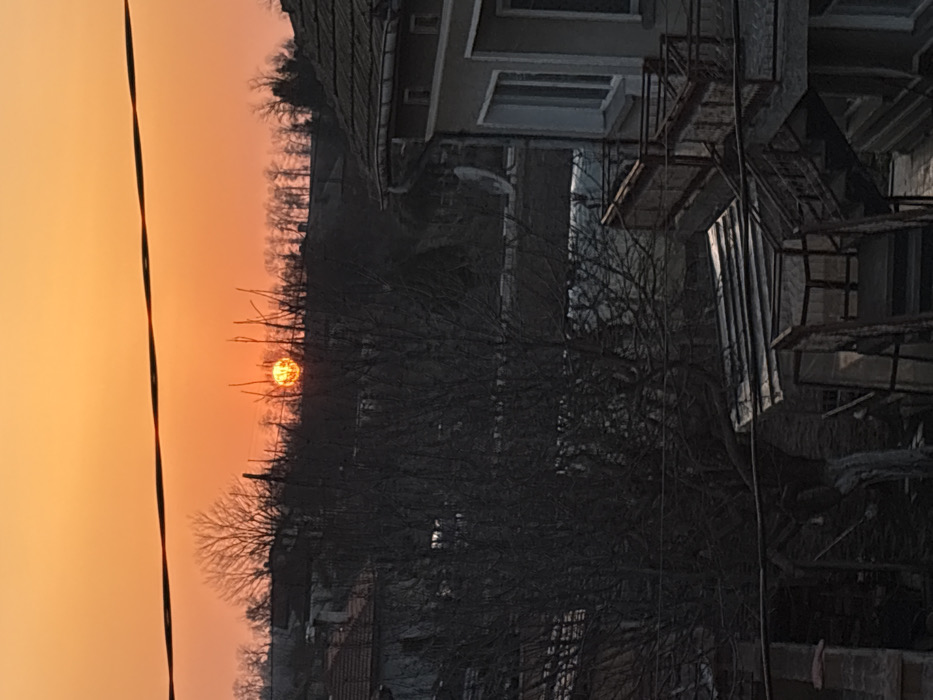 The image depicts a residential and vegetated area in Stefan Karadja, Bulgaria, during either sunrise or sunset. The sky displays a clear, vibrant orange hue, with a discernible, bright orange sun positioned slightly above the center, partially obscured by the bare branches of a distant tree line and silhouetted overhead utility wires.
In the foreground and midground, a large, dark, deciduous tree with intricate bare branches dominates the left-central portion of the frame. To the right, a multi-story building with a light-colored facade and a tiled roof is visible. This building features at least two windows and two external metal staircases with rusted-red railings, leading downwards. Below these staircases, rudimentary structures with corrugated metal roofs are present.
In the background, multiple residential structures with reddish-brown tiled roofs are scattered across a gently sloping landscape, interspersed with numerous bare trees. A prominent line of deciduous trees forms a distant ridge, silhouetted against the orange sky.