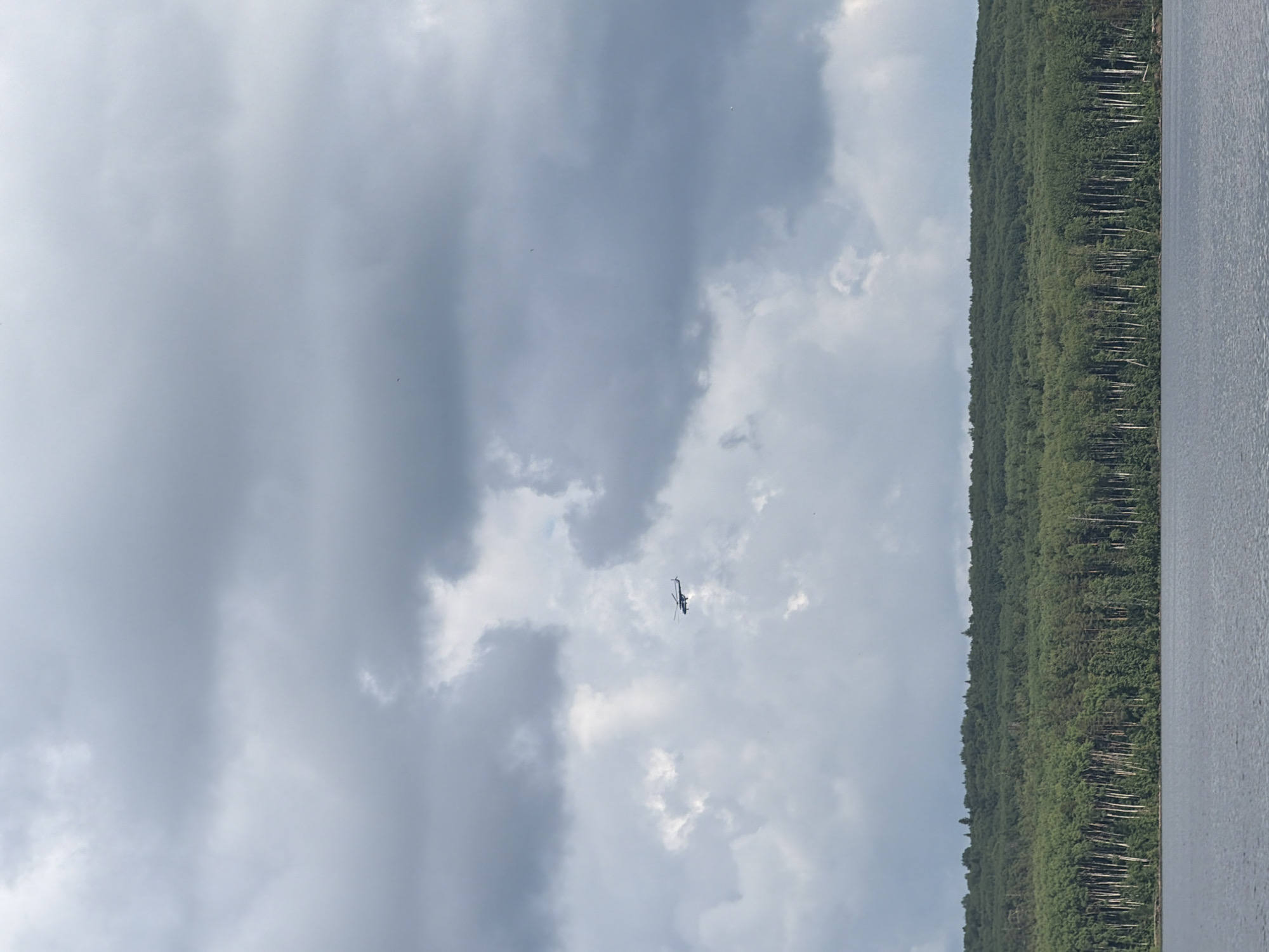A helicopter flies in a cloudy sky above a dense forest bordering a body of water. The forest is composed of a mix of deciduous and coniferous trees, with a line of white-barked trees visible in the foreground. The water is calm, reflecting the overcast sky. The scene is serene and natural, with no discernible human presence other than the distant helicopter. The location is likely the Kama River near Chaikovsky, Russia, given the characteristic landscape.