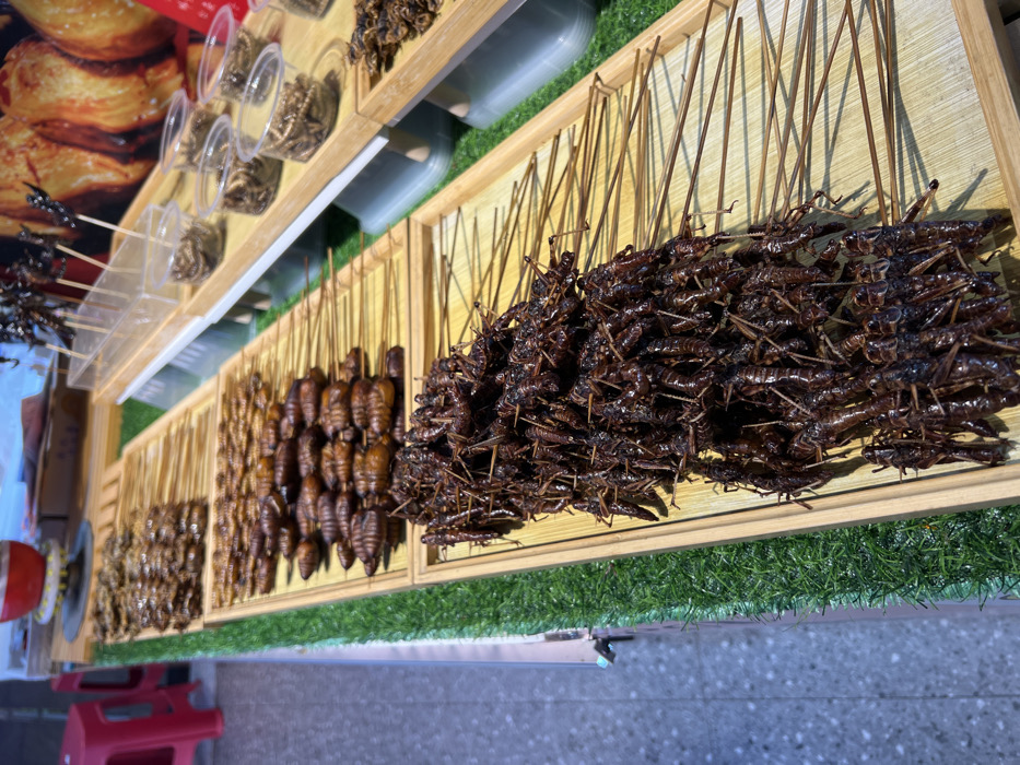 The image depicts a street food stall display in Yuzhong District, China, showcasing various cooked insects. The stall surface is covered with artificial green turf. In the foreground, a large rectangular bamboo tray contains numerous dark brown, skewered insects, consistent with roasted or fried grasshoppers or crickets. Behind this, another bamboo tray holds a quantity of skewered, lighter brown, segmented insect pupae or larvae. Further back, additional bamboo trays display more varieties of skewered insects. To the right, a raised wooden shelf supports several clear plastic cups, each containing a portion of small, dried, light brown insects, possibly mealworms. The background to the right shows blurred elements, including a prominent red container and larger, cooked food items. A red plastic stool is partially visible on the far left. The ground immediately adjacent to the stall is a light-colored paved surface. No individuals are present or interacting with the stall within the frame.