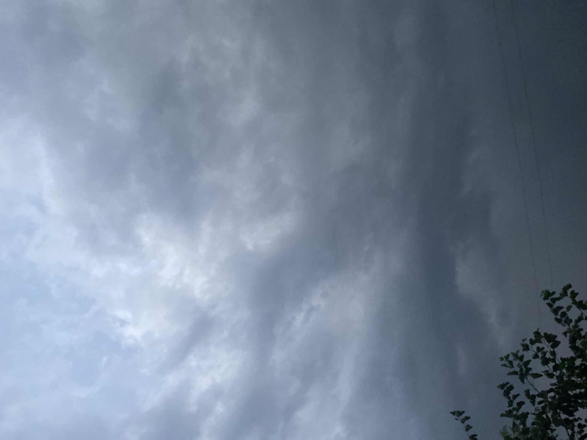 The image shows a cloudy sky over Gurlan, Uzbekistan. The clouds are a mix of light grey and dark grey, with patches of pale blue sky visible in the upper left quadrant. The light is dim, suggesting it may be overcast or approaching dusk. In the lower left corner, the dark green leaves and branches of a tree are visible. Thin, dark horizontal lines, likely power lines, are present in the lower portion of the image, stretching across the frame. No people or animals are visible. The overall impression is one of a somber or stormy atmosphere.