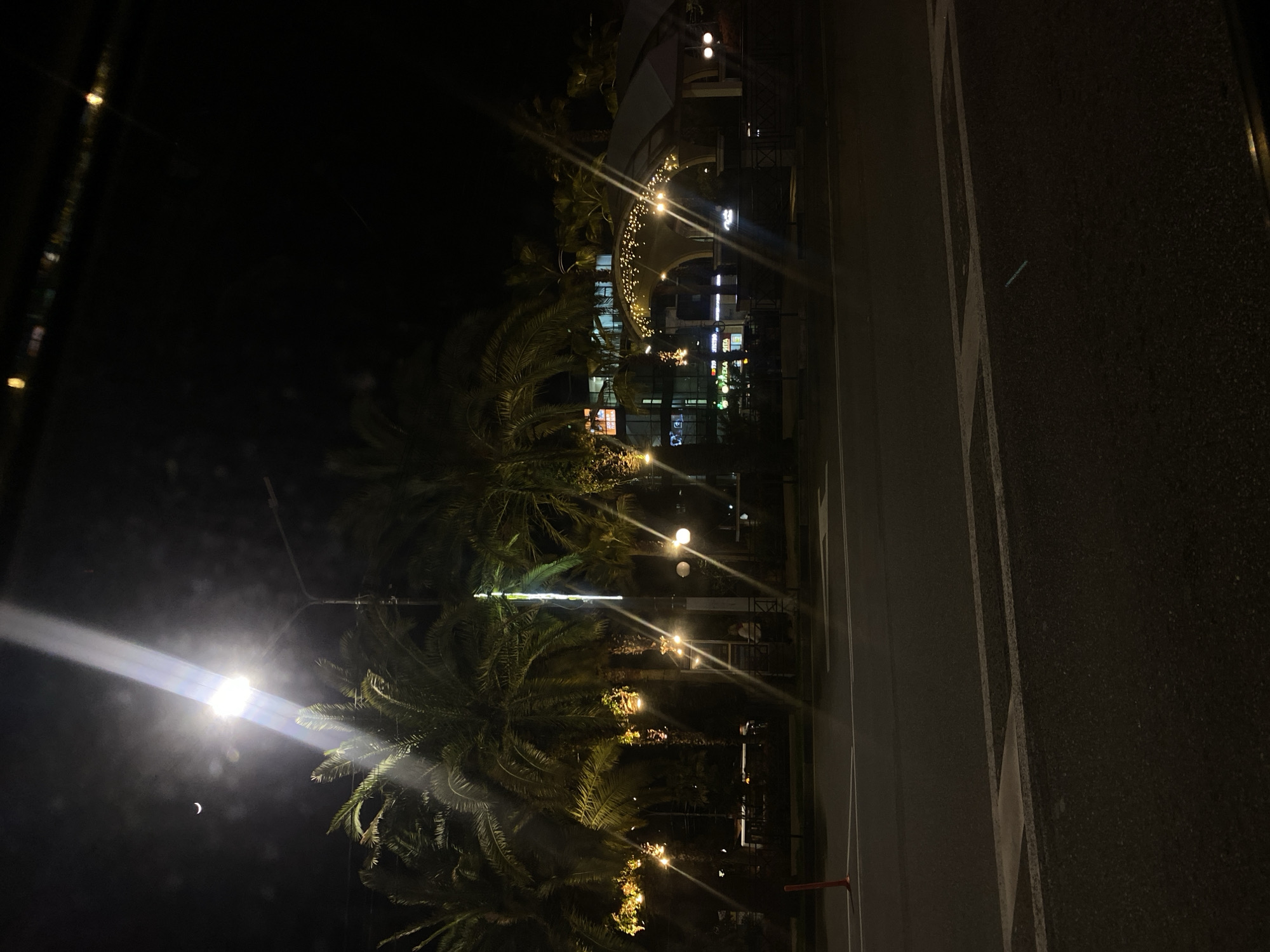 This nocturnal image, taken in Sochi, Russia, presents a lively urban or resort scene from an elevated viewpoint.
In the lower portion of the frame, a paved road is visible, marked with white lines that include solid borders and a striped section, possibly indicating a crosswalk or median. A dense array of tall palm trees occupies the left and central midground, their fronds silhouetted against the artificial light.
The background features several illuminated buildings and structures. One prominent building boasts a distinctive arched facade decorated with numerous small, warm-toned string lights, contributing to a festive ambiance. Other buildings display various illuminated signs, though the text on them is largely indistinct due to the distance and lighting.
Bright streetlights or lampposts are scattered throughout the scene, casting intense beams and creating noticeable lens flares. The night sky is dark, with a faint crescent moon visible in the upper left, near one of the strong light sources. The presence of palm trees is a clear indicator of a warm climate. There are no people or specific activities depicted, showcasing a vibrant yet tranquil nightscape.