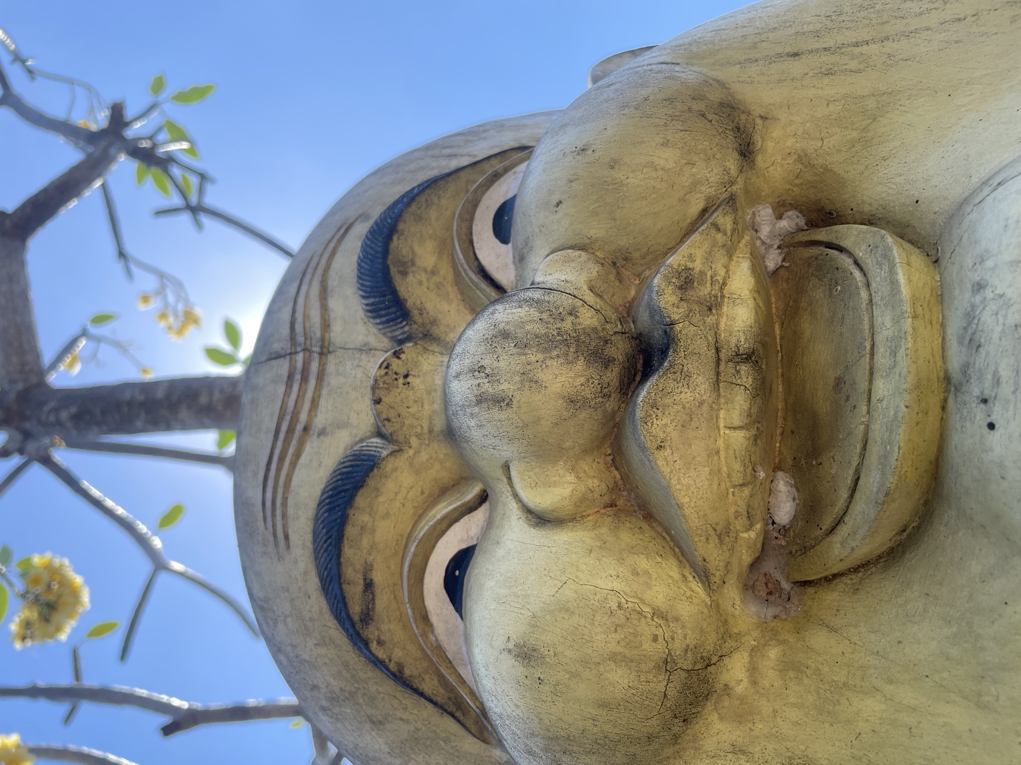 The image is a close-up, low-angle shot of a large, weathered, golden-colored statue of a laughing Buddha, situated outdoors under a clear blue sky. The statue's face dominates the frame, with its exaggerated features like wide eyes, a large nose, and a broad, open mouth revealing teeth. The statue shows signs of age, with visible cracks and some discoloration. Branches from a nearby tree with small yellow flowers extend into the upper part of the image, with sunlight filtering through them, creating a lens flare effect. The statue is likely located in Kuta Selatan, Indonesia, a region known for its Buddhist temples and sculptures.