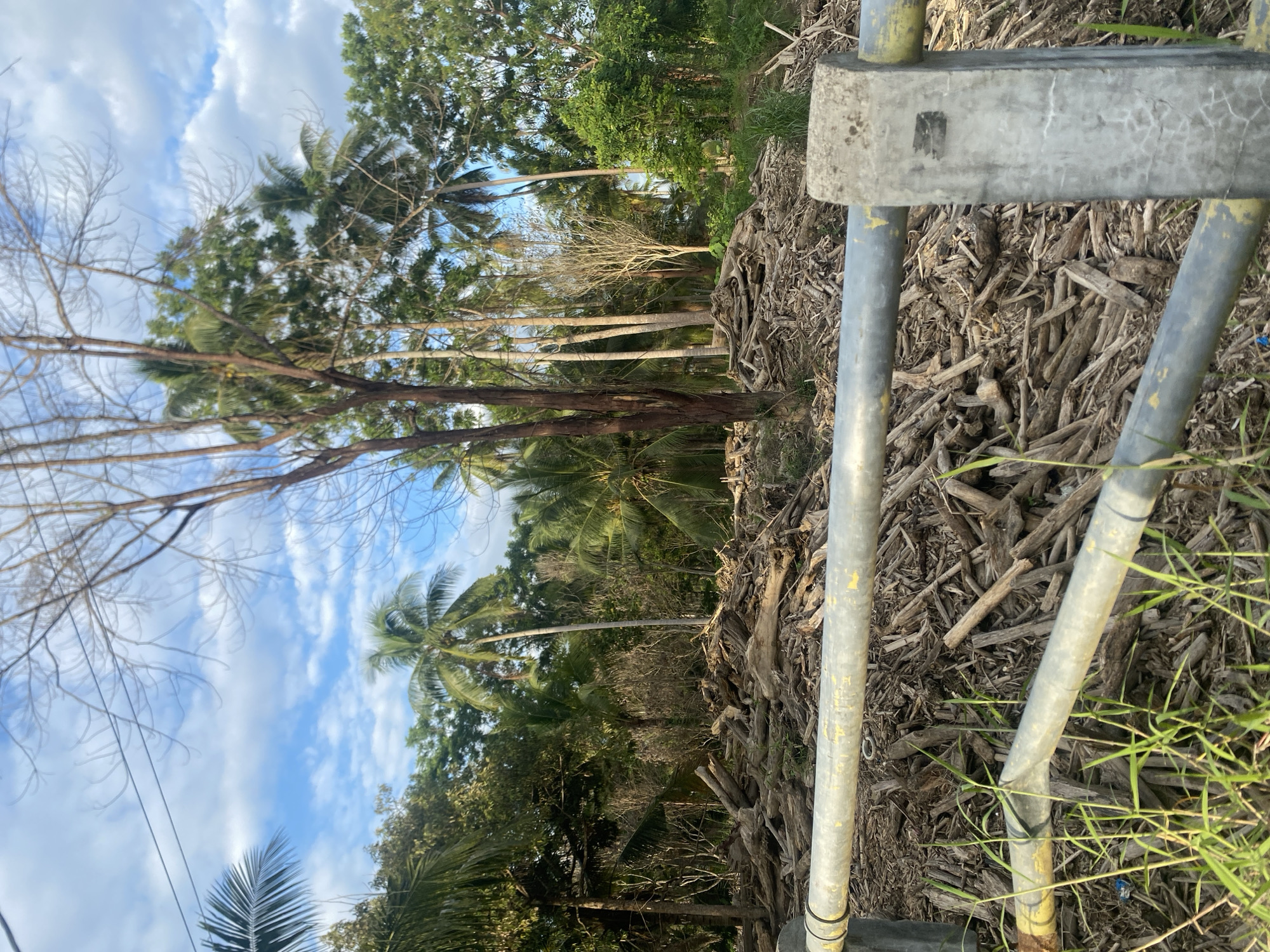 The image shows a natural scene in Kruengbeukah, Indonesia, framed by a weathered metal guardrail in the foreground. Beyond the guardrail lies a large pile of dried wood and organic debris, possibly discarded branches or wood chips. In the background, a lush assortment of trees, including several prominent palm trees, extends into the distance. The sky is partially visible through the trees, displaying scattered clouds and patches of blue. The overall impression is one of a somewhat overgrown or untended area bordering a natural landscape.