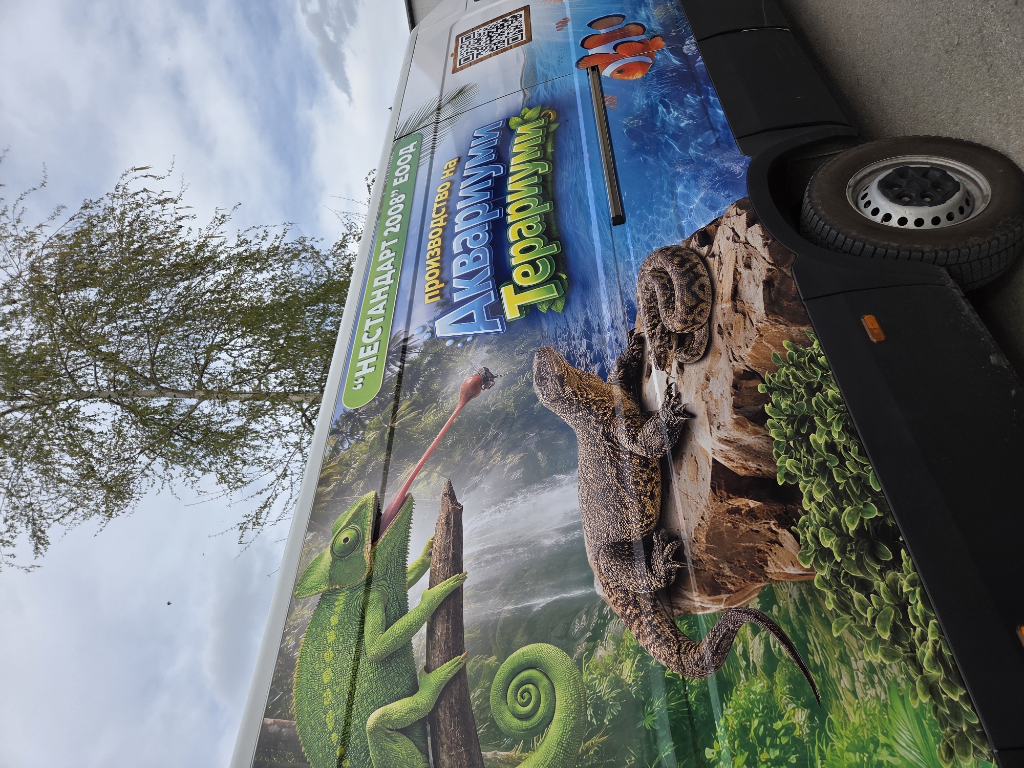A partial, angled outdoor view shows the side of a vehicle in Pleven, Bulgaria. The vehicle is decorated with a large, colorful advertisement featuring a chameleon with its tongue extended, a monitor lizard on a rock, a snake coiled nearby, and an image of a clownfish swimming in a blue aquatic environment. The text on the vehicle is in Bulgarian and includes the words "Аквариуми" and "Терариуми", implying a business related to aquariums and terrariums. The advertisement also includes a QR code at the top. The vehicle is black, and a wheel is visible. A tree with sparse foliage is visible in the upper left corner against a cloudy sky.