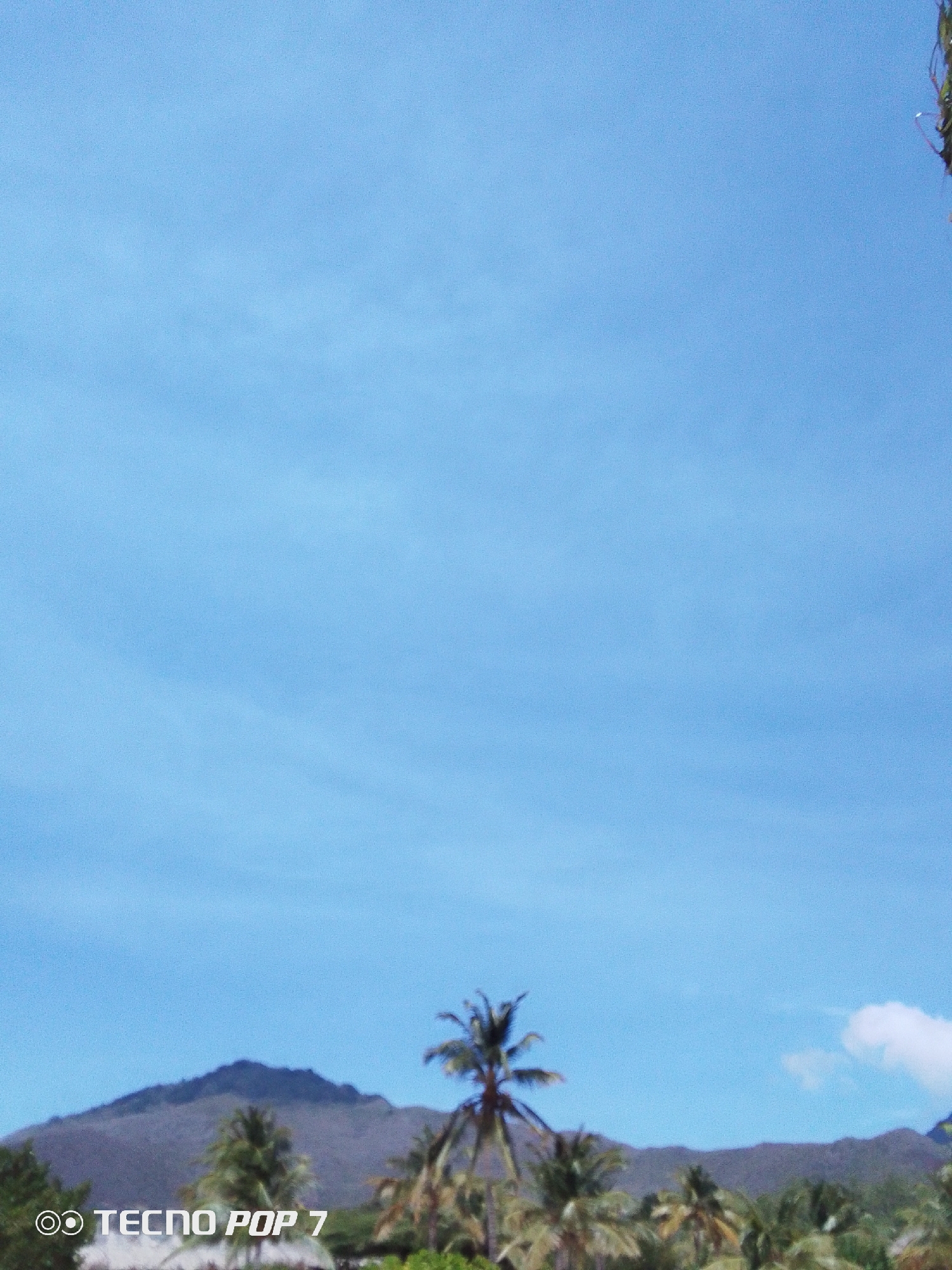 The image shows a mountain landscape with palm trees in the foreground. The sky is blue with faint white clouds. The location is assumed to be Pedro González, Venezuela, based on the user's prompt. The image captures a clear day with a view of a mountain range and tropical vegetation. The name of the phone camera "Tecno Pop 7" is at the bottom.