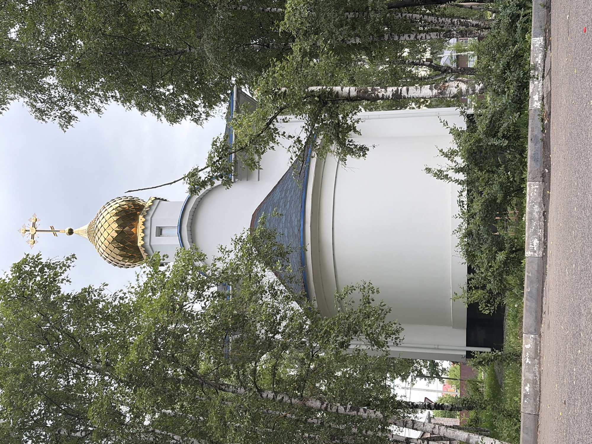 A medium shot captures a white church with a golden dome in Pikino, Russia, on an overcast day. The church is framed by numerous tall birch trees with green foliage, their white trunks speckled with black markings. The dome, adorned with a golden cross, is prominently displayed at the apex of the white building. Below the dome, a blue trim runs along the roofline of the white structure, which has a curved white wall and a dark blue tiled roof. The foreground features a paved road with a concrete curb, and a line of green bushes and grass separates the road from the church's foundation. In the background, hints of houses and more trees suggest a suburban or semi-rural setting. The image is clear and sharp, with no visible people.
