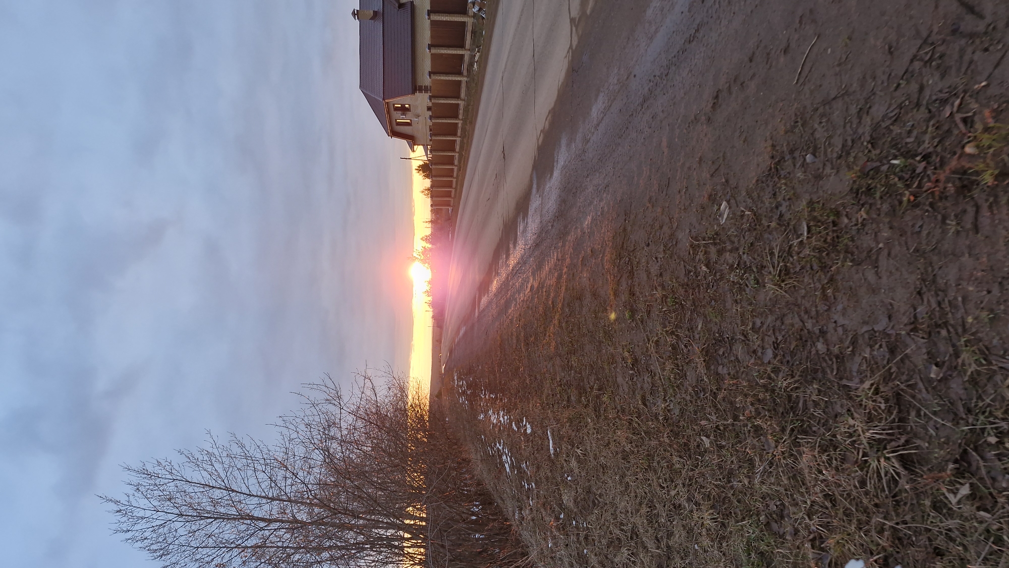 The image captures a serene, low-angle view of a roadside scene in Otchor, Russia, at either sunrise or sunset. The sun, a bright pink-orange orb, is prominent on the horizon, casting a strong, warm glow and lens flare across the lower half of the frame and reflecting on the wet road surface.
The sky above the horizon is a soft, muted blue-grey, filled with clouds. In the foreground, a bare deciduous tree or large bush with intricate branches is silhouetted against the glowing sky on the left. The ground immediately to the right of the paved road is a mix of muddy earth, dry brown grass, and scattered debris, with visible patches of what might be melting snow or ice. The road itself is dark and wet, showing reflections of the sky and sun, suggesting recent rain or thaw.
Further down the road on the left, a two-story house with a dark brown roof and light-colored siding is visible behind a tall fence. The fence features brick pillars and horizontal wooden panels. No people or specific activities are discernible. The overall impression is one of a quiet, somewhat rural setting during a peaceful transition period of the day, characterized by earthy tones and the striking warm light of the low sun. No visible text is present in the image.