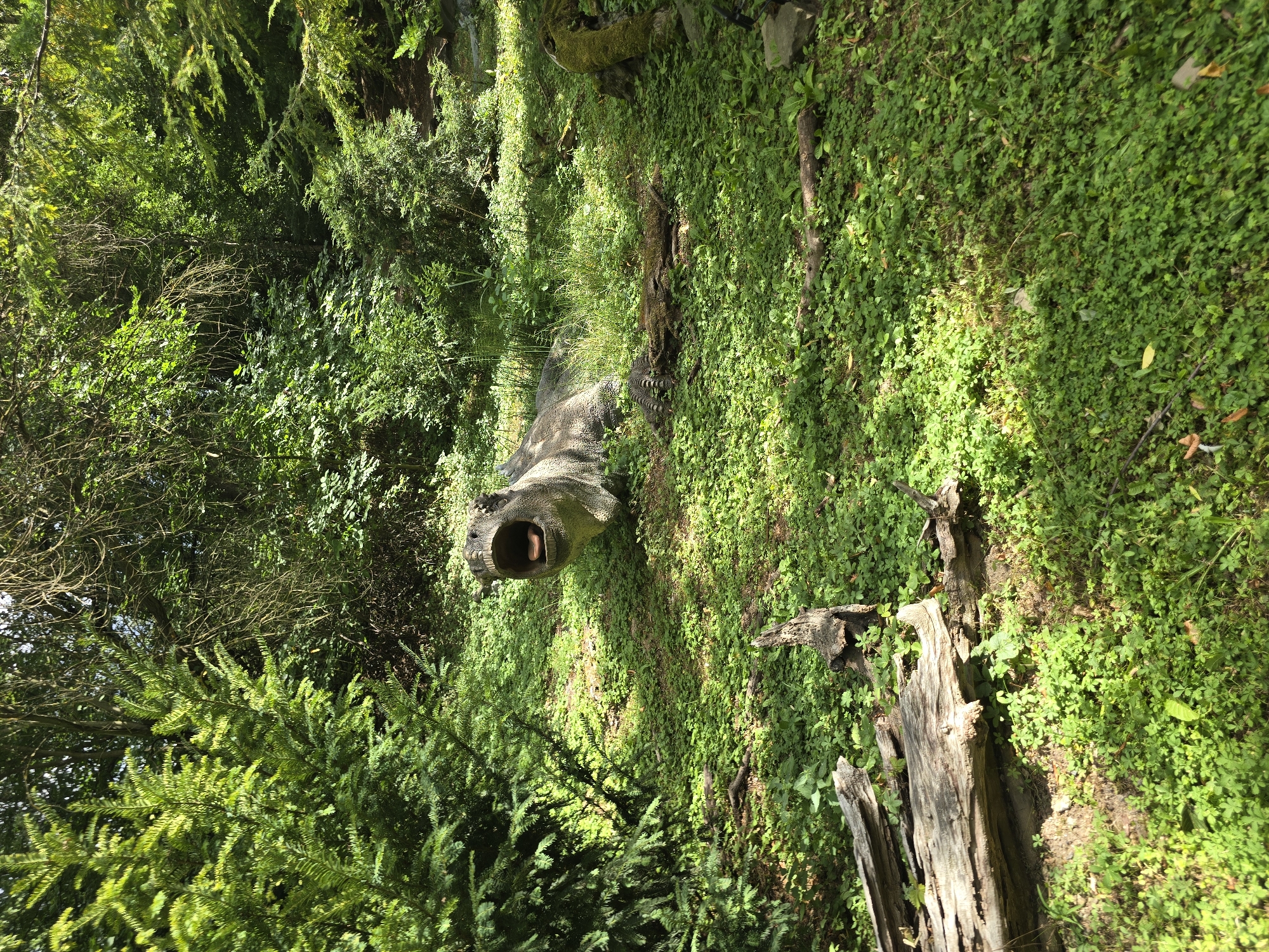 This image depicts a scene in the city of Vyškov, Czechia, likely within a park or natural setting. The focal point is a large, grey, reptilian statue with its mouth wide open, resembling a dinosaur or prehistoric creature. It is positioned in a grassy area with lush green ground cover and surrounded by dense foliage, including trees and bushes. To the left, a large, fallen tree trunk lies on the ground, weathered and grey. Other scattered logs and plant debris are visible throughout the scene. The lighting suggests it is daytime, with sunlight dappling through the leaves, creating shadows on the ground. The overall impression is one of a static, staged display within a naturalistic environment.