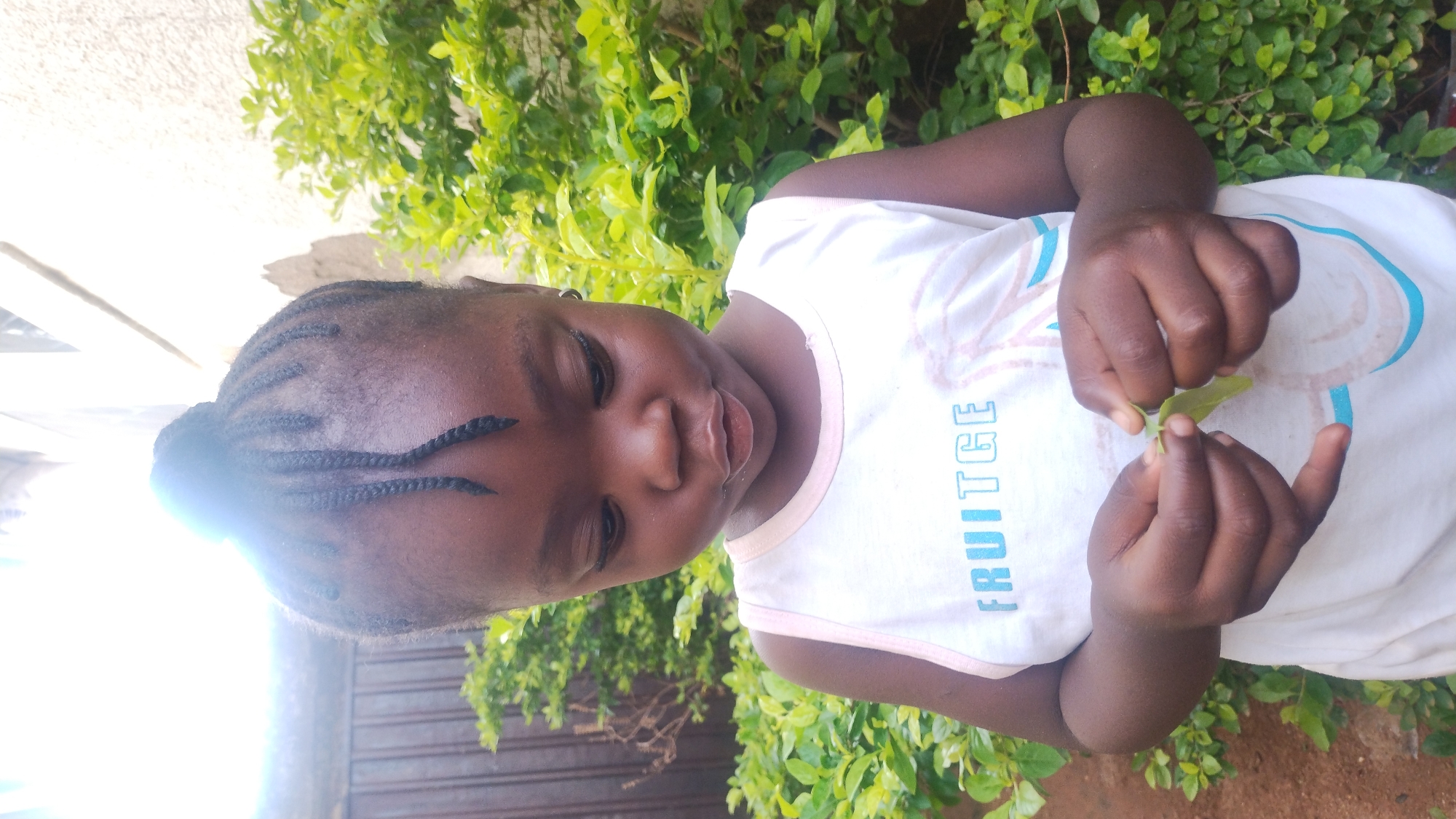 A young, dark-skinned child stands outdoors against a backdrop of green foliage, possibly a bush or hedge. The child is wearing a white t-shirt with the word "FRUITGE" printed on it in blue and pink letters. Her hair is styled in braids that are gathered at the back of her head. She is holding a small green leaf in her hands, examining it closely. The location is likely in Jos, Nigeria, although this cannot be determined from the image alone.