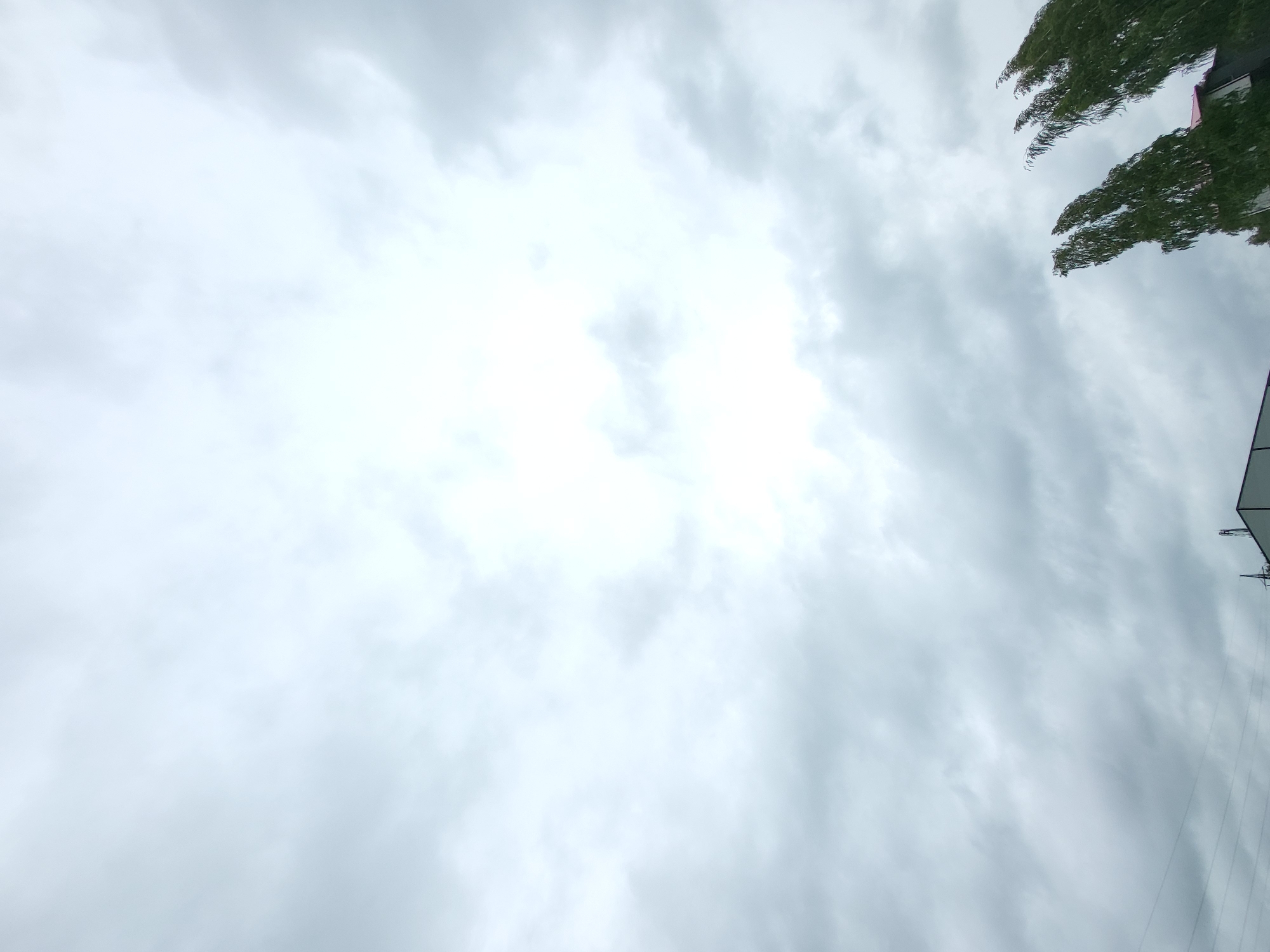 The image shows a sky filled with clouds, with a bright spot in the upper center, suggesting sunlight breaking through. In the lower right corner, several tall, slender trees with dense green foliage are visible, their branches reaching upwards. Partially visible beneath the trees and to the left are parts of buildings, appearing to be low-rise structures. Power lines are faintly visible in the lower left quadrant of the image. The overall impression is of an overcast day in an urban or semi-urban environment. No people or specific actions are depicted. The location is identified as Jelgava, Latvia.