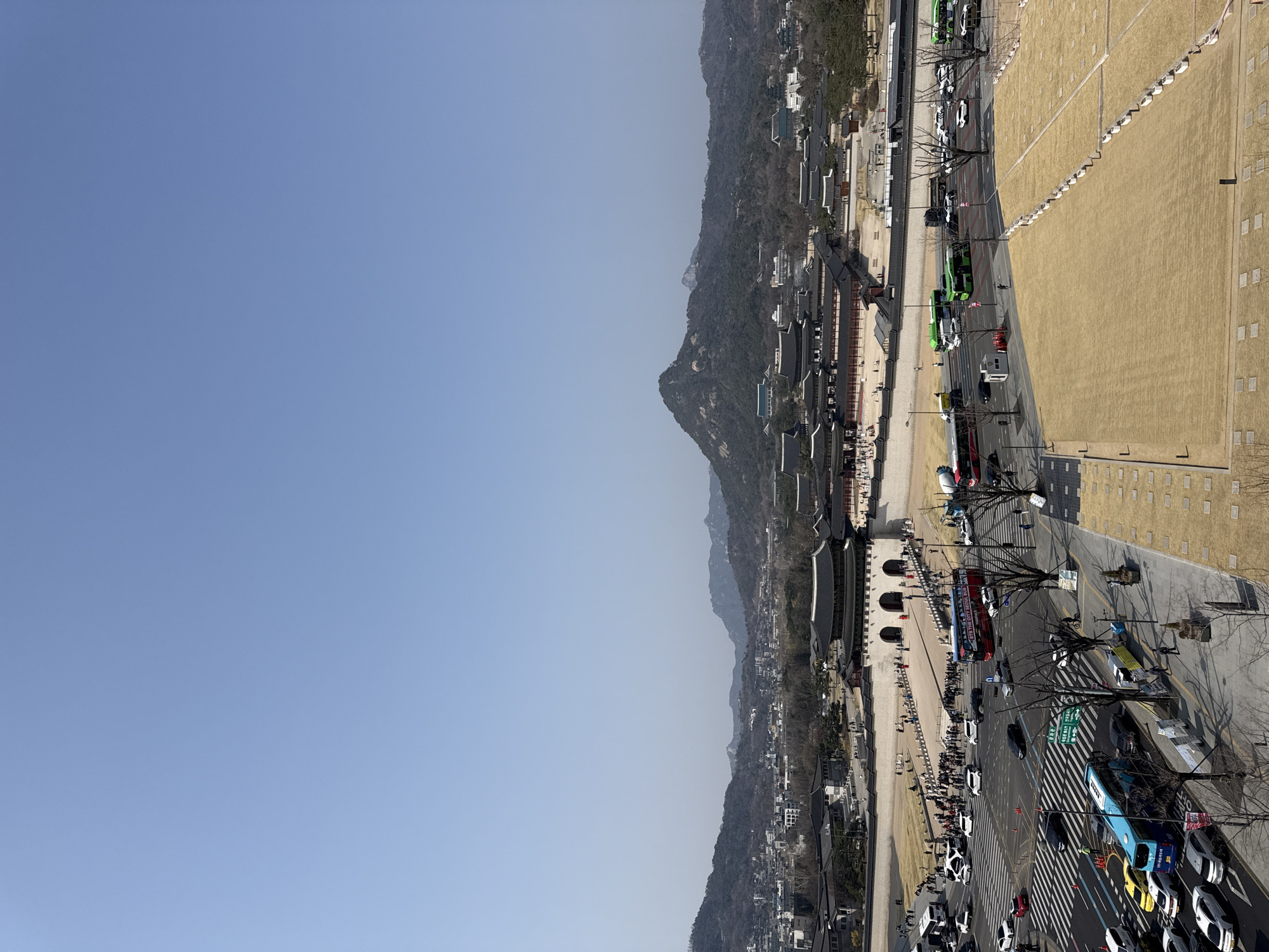 The image depicts an elevated, wide-angle view of Gyeongbokgung Palace and Gwanghwamun Square in Seoul, South Korea, on a clear, sunny day.
The upper half of the frame consists of a cloudless, light blue sky. Below the horizon, a series of bare-treed mountains form the distant background, with residential and commercial buildings visible amidst the foothills.
The midground is dominated by the sprawling Gyeongbokgung Palace complex, characterized by its traditional Korean architecture featuring dark tiled roofs and light-colored walls. The prominent Gwanghwamun Gate, with its multi-tiered roof and three arched passageways, serves as the central entrance to the palace. In front of the gate, Gwanghwamun Square is visible, a large paved area where a significant crowd of individuals is gathered, many appearing to walk or queue.
Immediately in front of Gwanghwamun Square is a busy urban intersection with multiple lanes of traffic. Numerous vehicles are present, including cars (white, silver, black, red), several green city buses, a blue city bus, and a red double-decker tour bus emblazoned with "BTS The City Seoul." A red concrete mixer truck is also visible. Traffic appears active, with vehicles in motion and stopped. White pedestrian crossings, road markings, green overhead signs, and traffic lights are discernible. Bare deciduous trees line the roads and are sparsely scattered throughout the palace grounds. Pedestrians are visible on sidewalks adjacent to the road.
The immediate foreground features a large, rectangular field of dry, light-brown grass, bordered by white concrete elements or markers. This field is separated from the road by a wide paved sidewalk. The perspective suggests the photograph was taken from a building or elevated platform overlooking the palace and its surroundings.