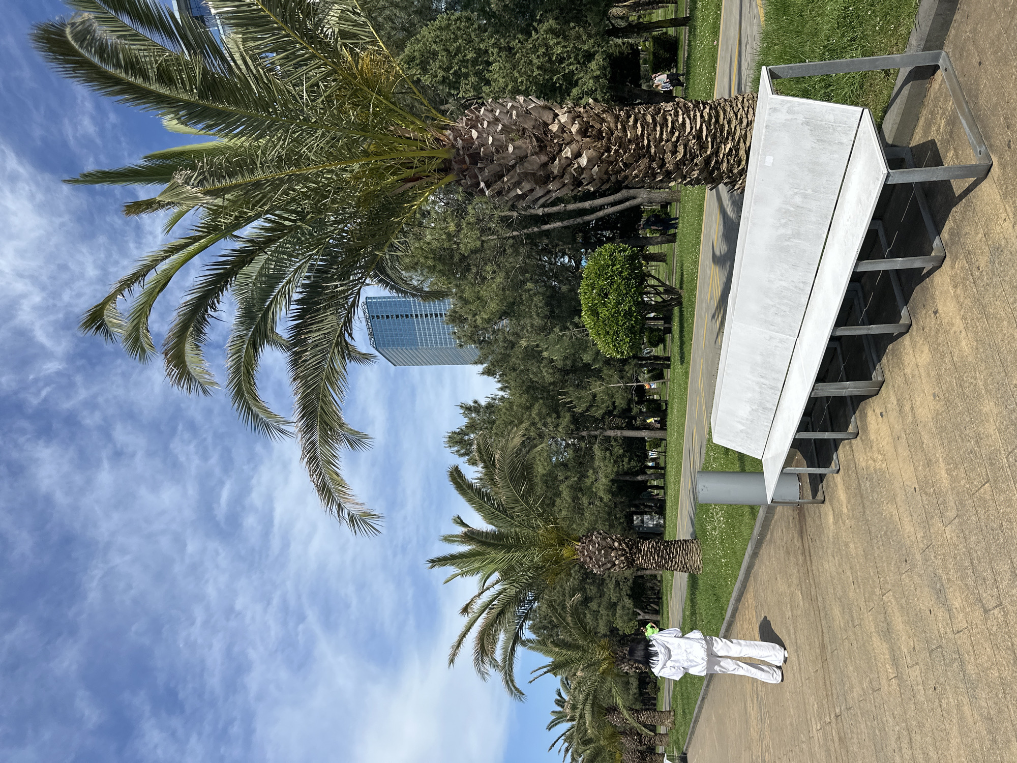 The image depicts a row of palm trees along a pathway in Batumi, Georgia. The sky is blue with light, wispy clouds. A modern, high-rise building is visible in the background, partially obscured by the trees. A long, white bench with a metal frame runs parallel to the pathway. A person dressed in white stands on the path near the bench, facing away from the camera. The pathway is paved with light brown tiles. Green grass and trees line the other side of the pathway. The scene is generally bright and sunny.