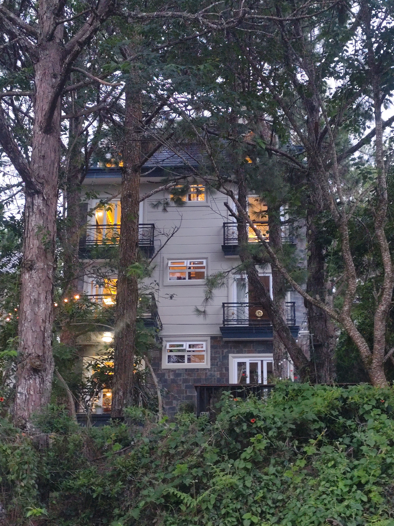 The image shows a multi-story building partially obscured by trees and foliage. The building has a light-colored facade with several windows, some of which are illuminated from within. There are balconies with decorative railings on some levels. The lower portion of the building appears to be made of stone. Lush green bushes and plants in the foreground suggest an outdoor setting. The trees are tall and have rough bark, with branches extending over the building. String lights are visible in the branches. The scene appears to be a residential or hotel building nestled within a natural environment, possibly in the city of Xuân Trường - Đà Lạt, Vietnam, known for its cooler climate and pine forests. There are no people visible in the image.