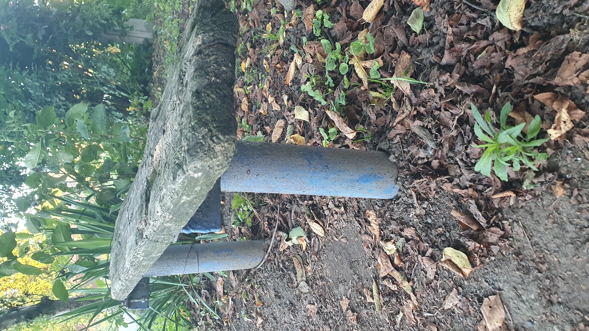 This image shows an outdoor scene featuring a weathered, concrete bench with blue, cylindrical legs. The bench is situated on uneven ground covered with fallen leaves and sparse vegetation. The background consists of foliage and trees, suggesting a park or garden setting. The overall impression is one of neglect or natural overgrowth. The location in Ust-Labinsk, Russia, is not visually indicated in the image. There are no people or animals present in the scene. The lighting suggests it is daytime.