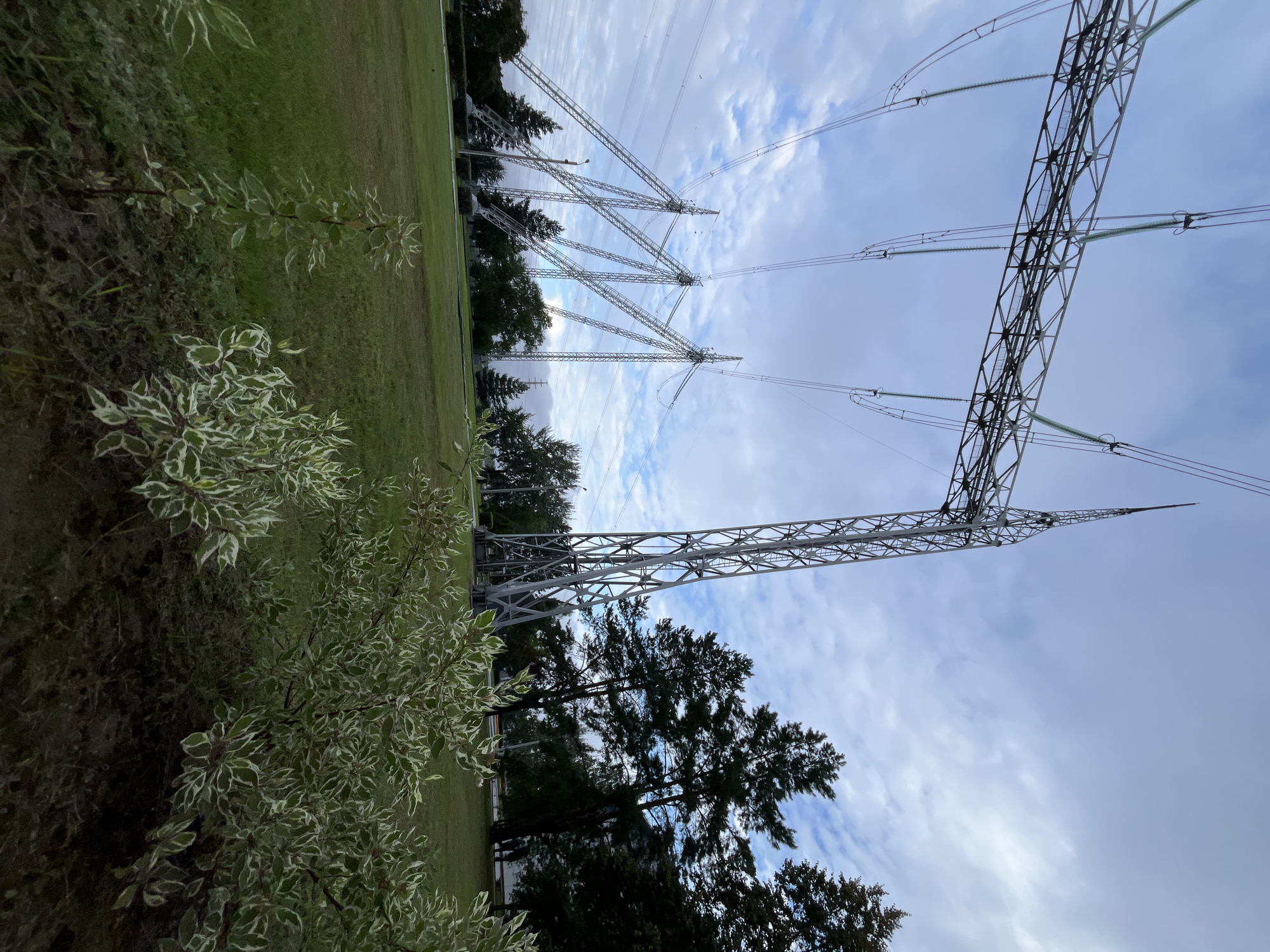 The image depicts a wide-angle view of a power substation, likely located in Chaikovsky, Russia. In the foreground, a lush green lawn is interrupted by a patch of ornamental shrubbery with variegated green and white leaves. Behind the shrubbery, a row of tall, dark green coniferous trees forms a backdrop.
Dominating the scene are several imposing metal power line towers. The closest and largest tower is a latticework structure with a sharp, pointed apex, reaching high into a sky filled with scattered, wispy clouds. To the left, a series of three similar, though smaller, power line towers are arranged in a diagonal line, their structures angled and supporting thick electrical cables that stretch across the frame. These cables are suspended from insulators on the towers.
In the middle ground, between the power towers and the trees, a faint linear structure that could be a street or pathway is visible, along with the silhouette of a lamppost. Further in the background, the outlines of buildings and more trees are discernable, suggesting an urban or industrial environment adjacent to this power infrastructure. The overall atmosphere is overcast, with soft, diffused light characteristic of a cloudy day. No people are visible in the image.